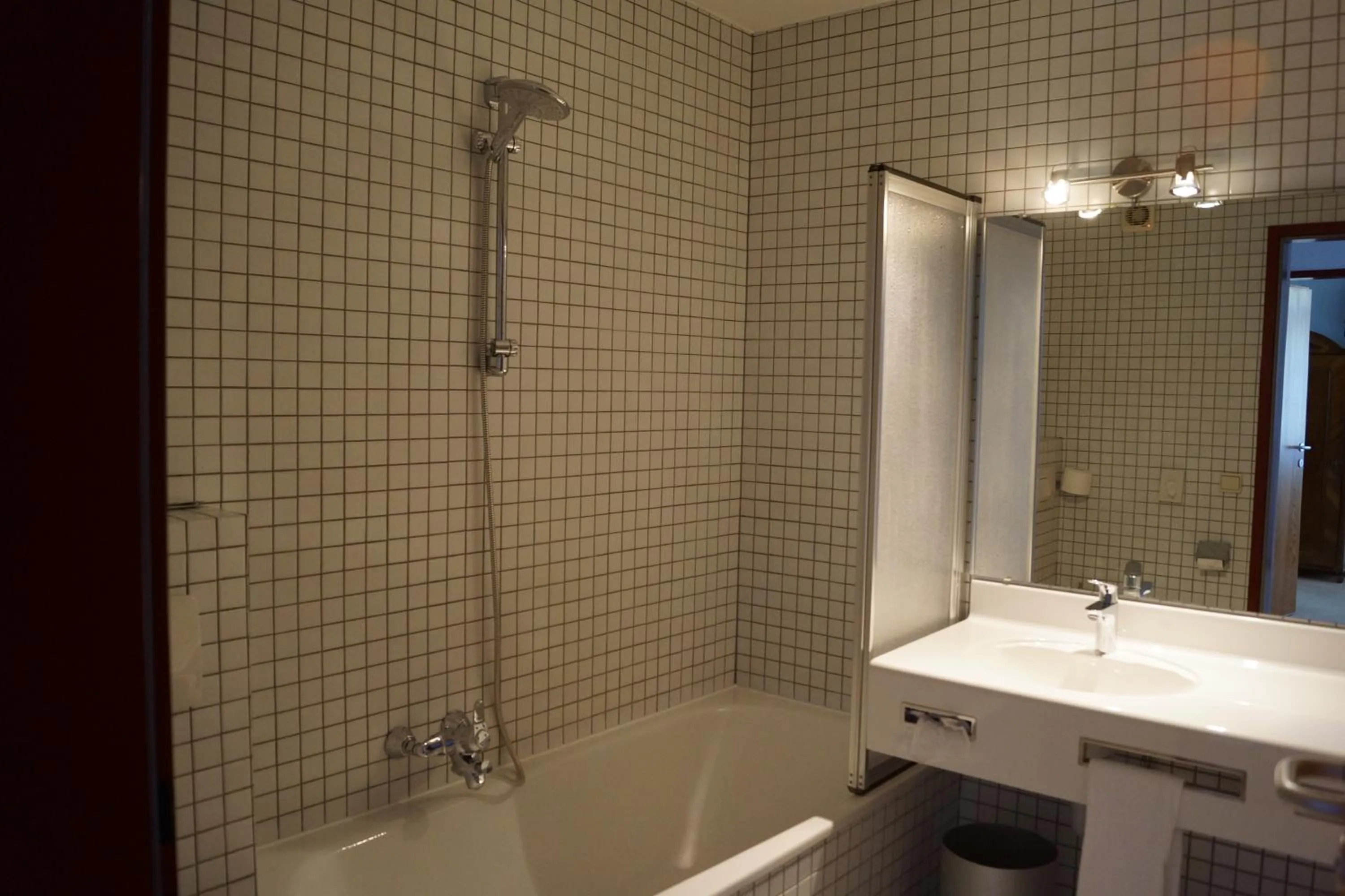 Shower in Hotel Bischof