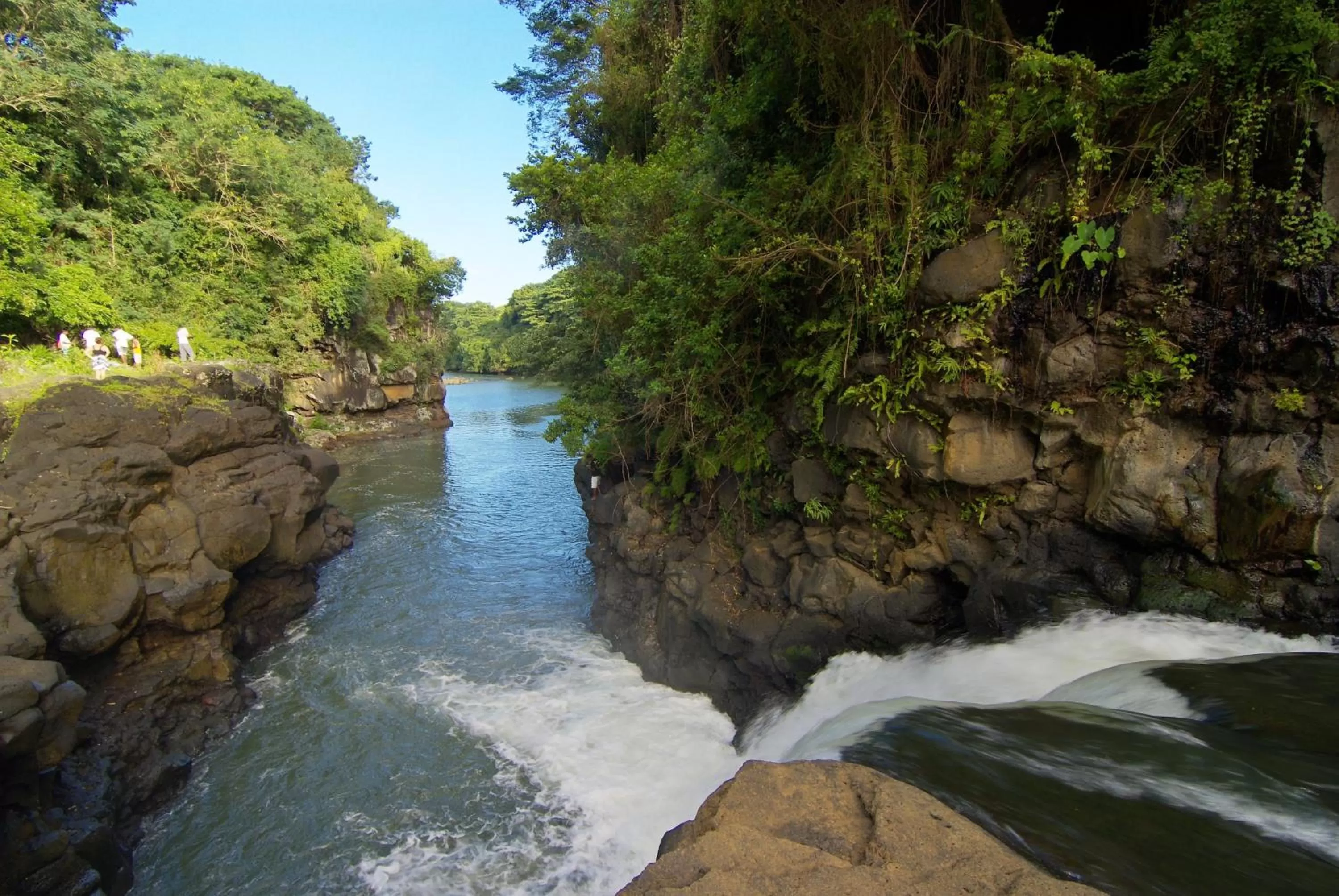 Nearby landmark in Laguna Beach Hotel & Spa