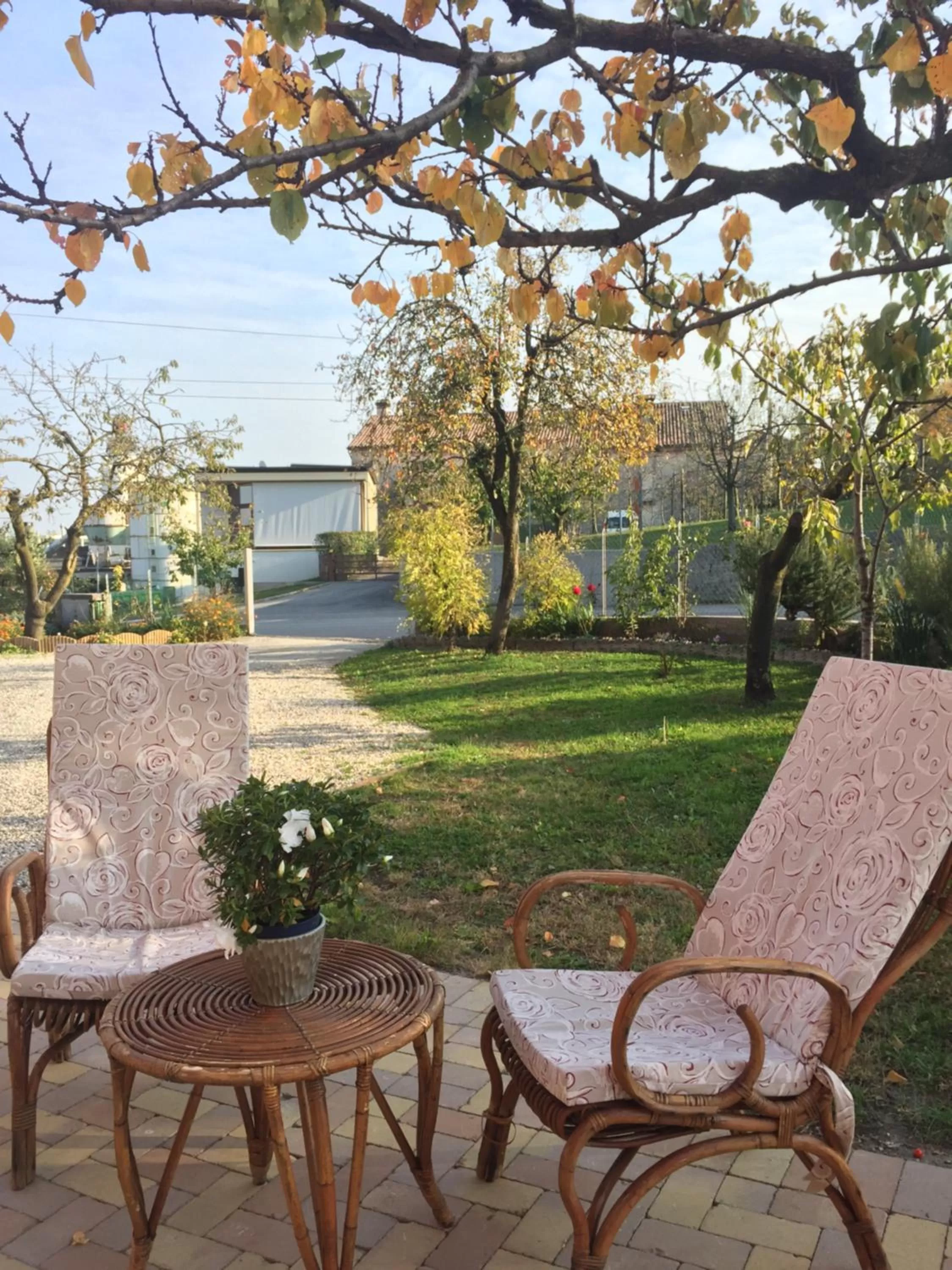 Garden in B&B Casa del Conte