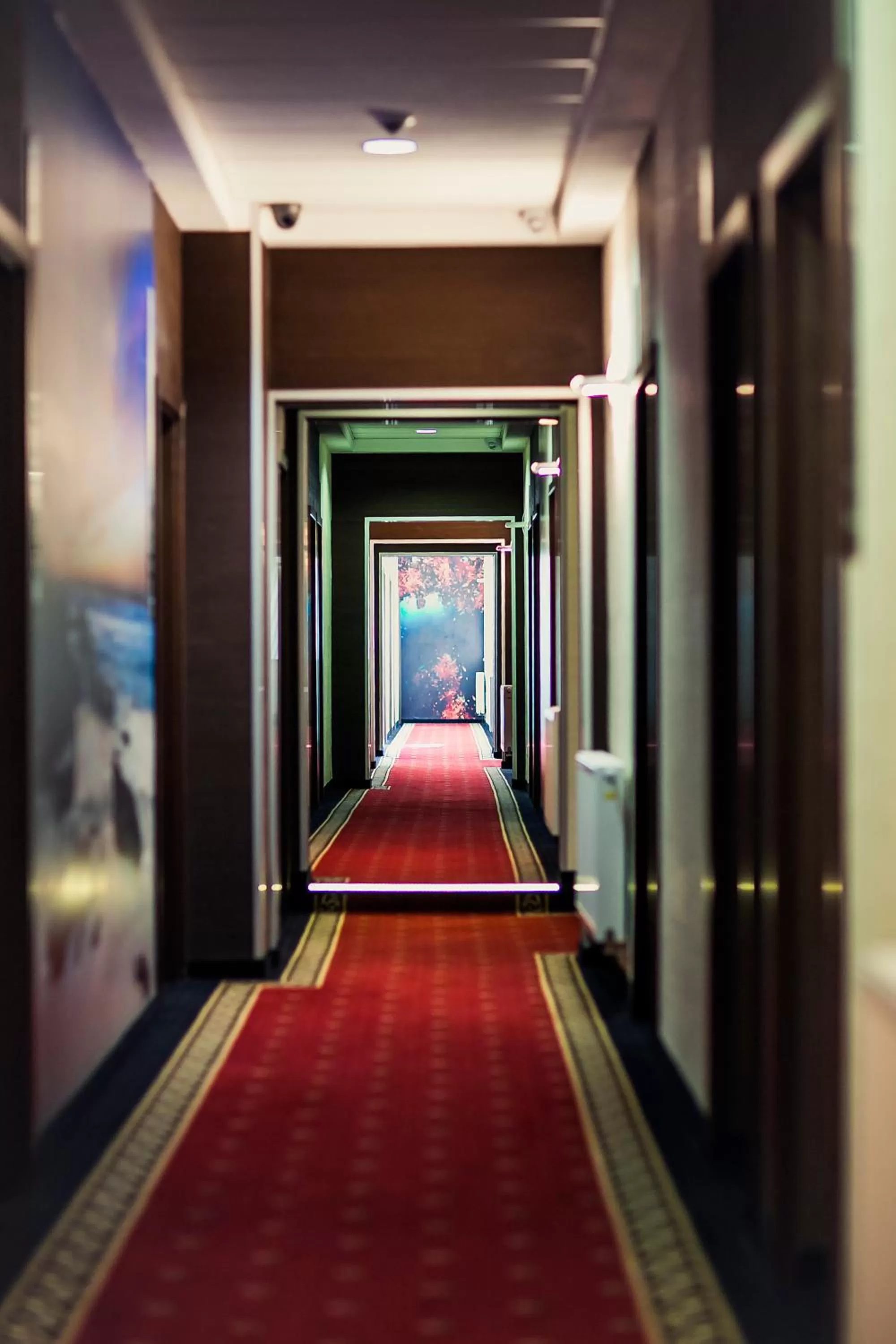 Lobby or reception in Boutique Hotel's I Milionowa