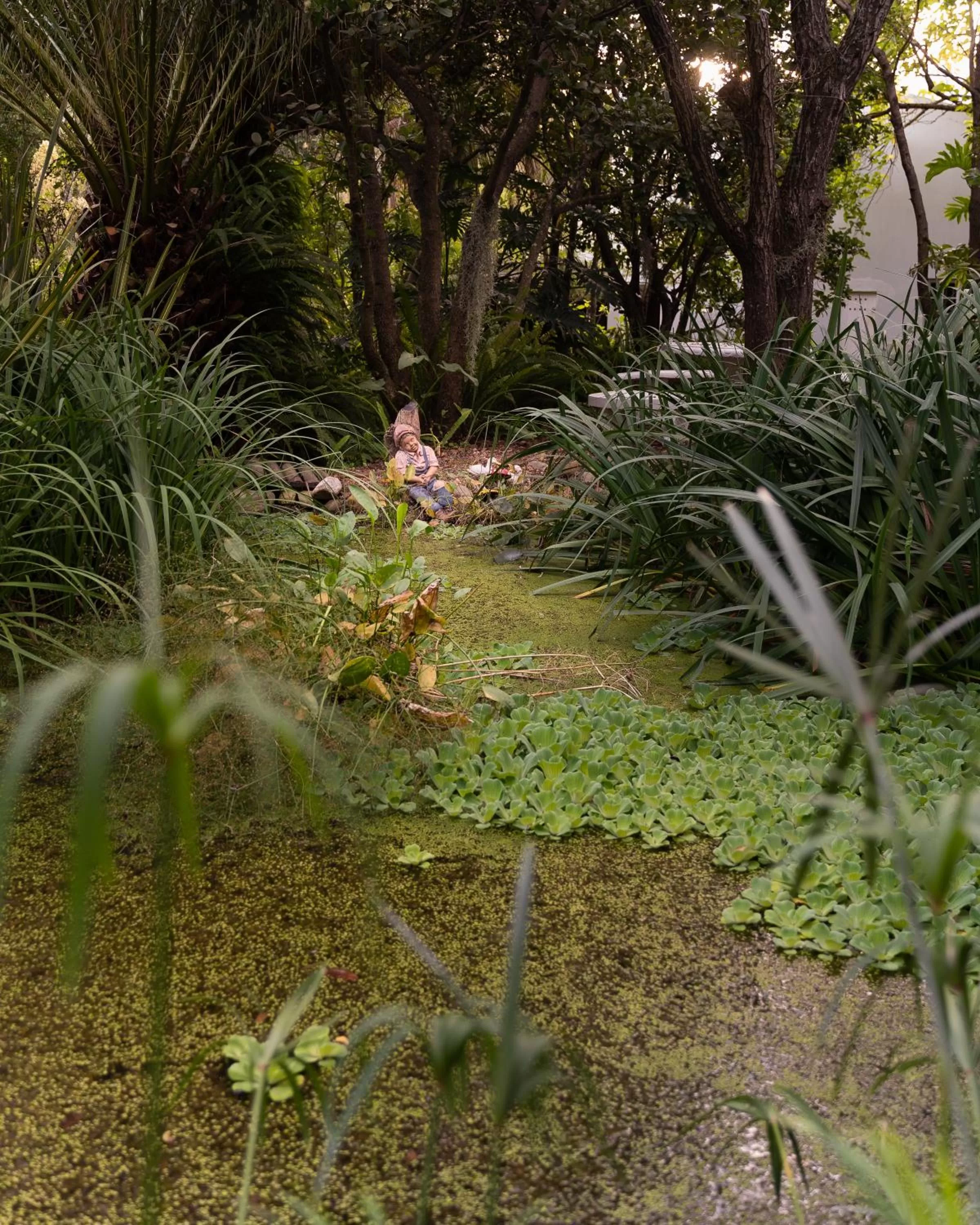 Garden in Aquaelberg Place