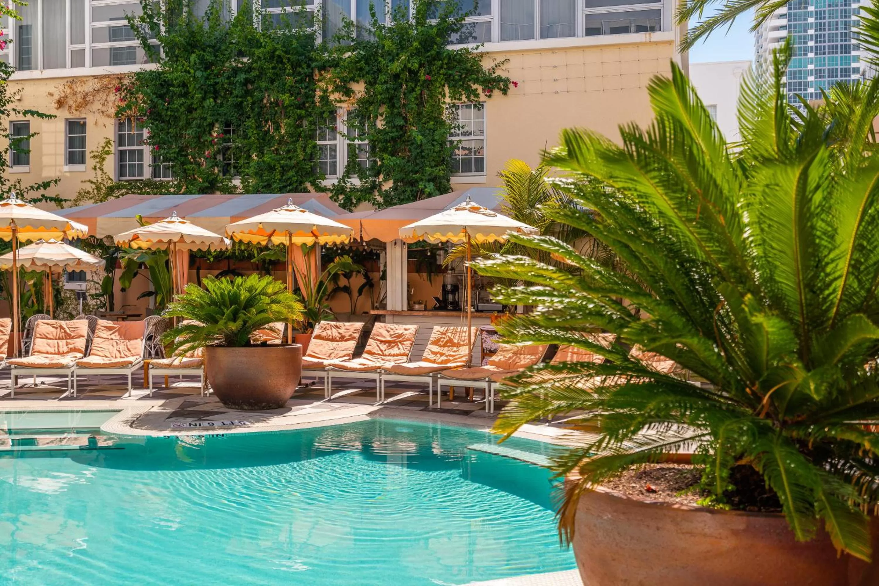 Swimming pool in The Plymouth South Beach