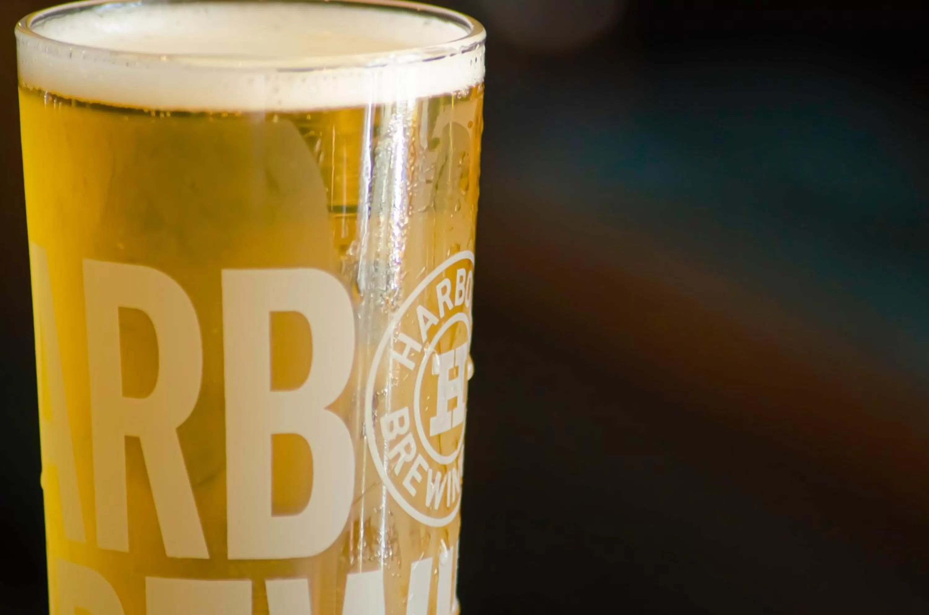 Lounge or bar in Molesworth Arms