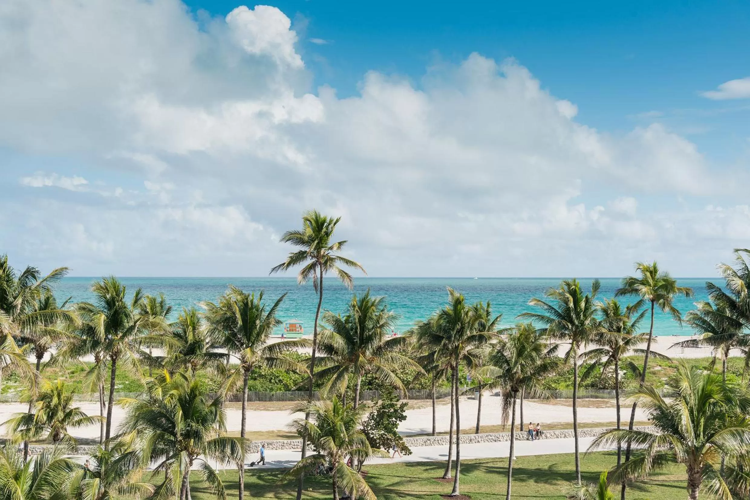 Beach in Penguin Hotel