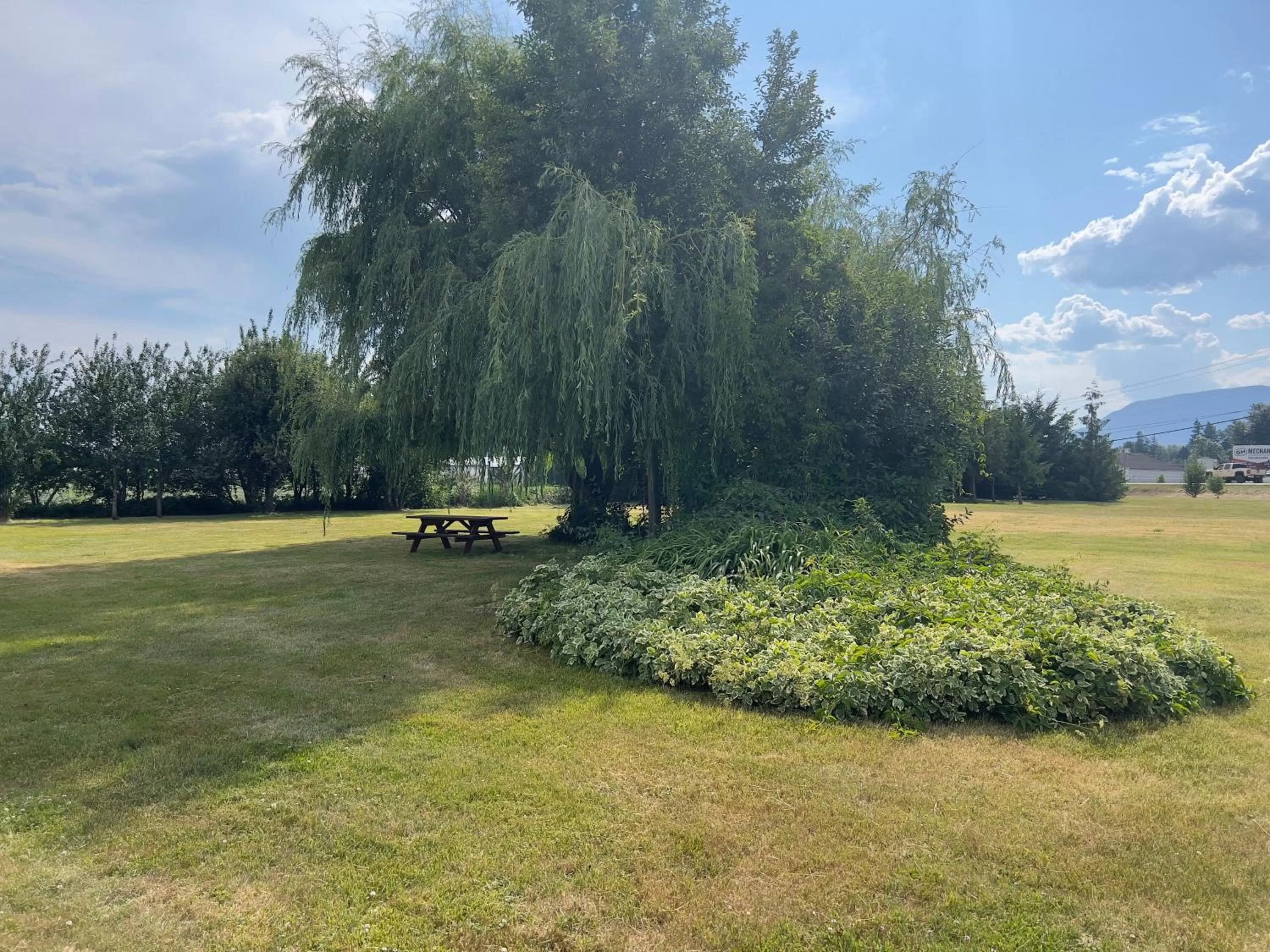 Garden in Monashee Motel