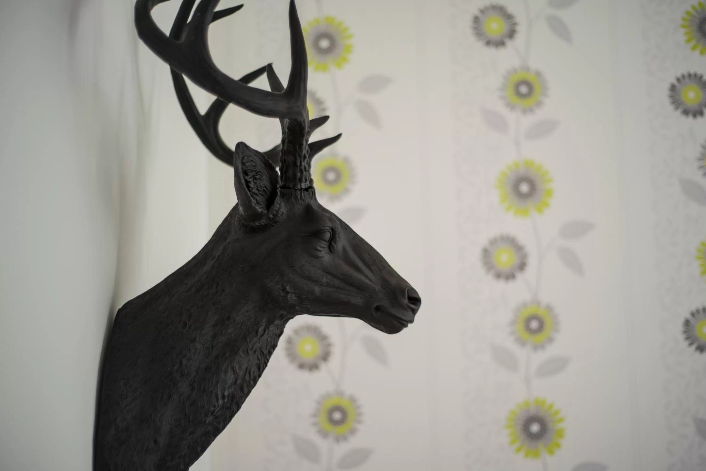 Other, Other Animals in Private Living Apartments