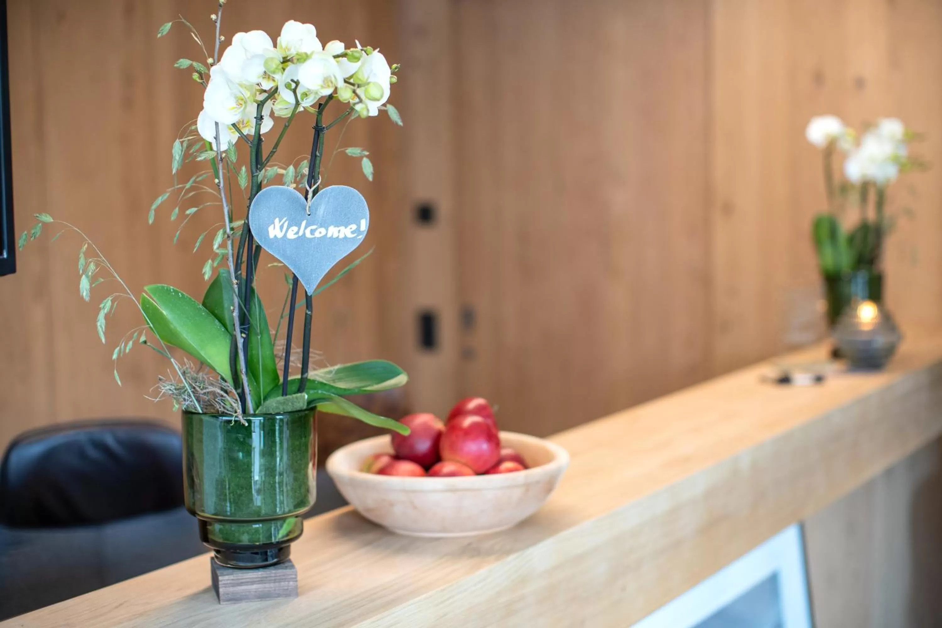 Lobby or reception in Emma Deluxe Aparthotel direkt beim Skibus