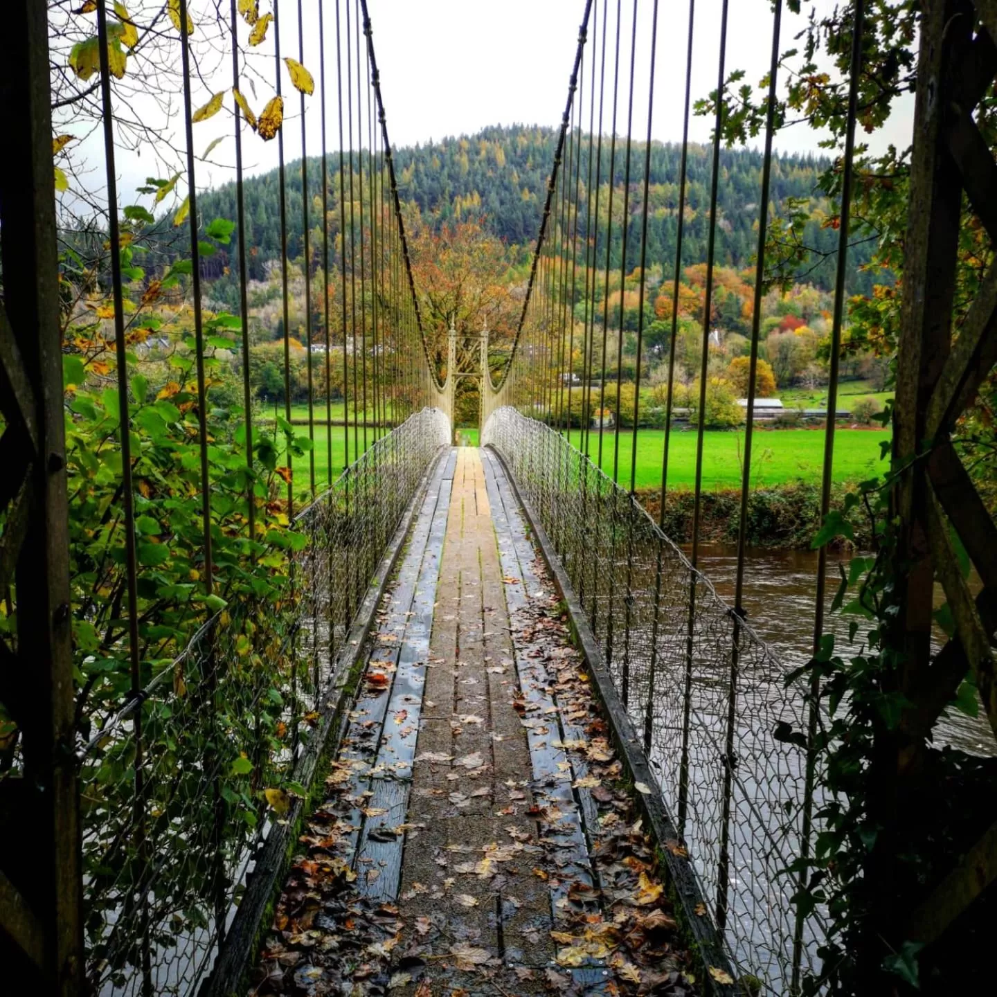 Other in Aberconwy House B&B