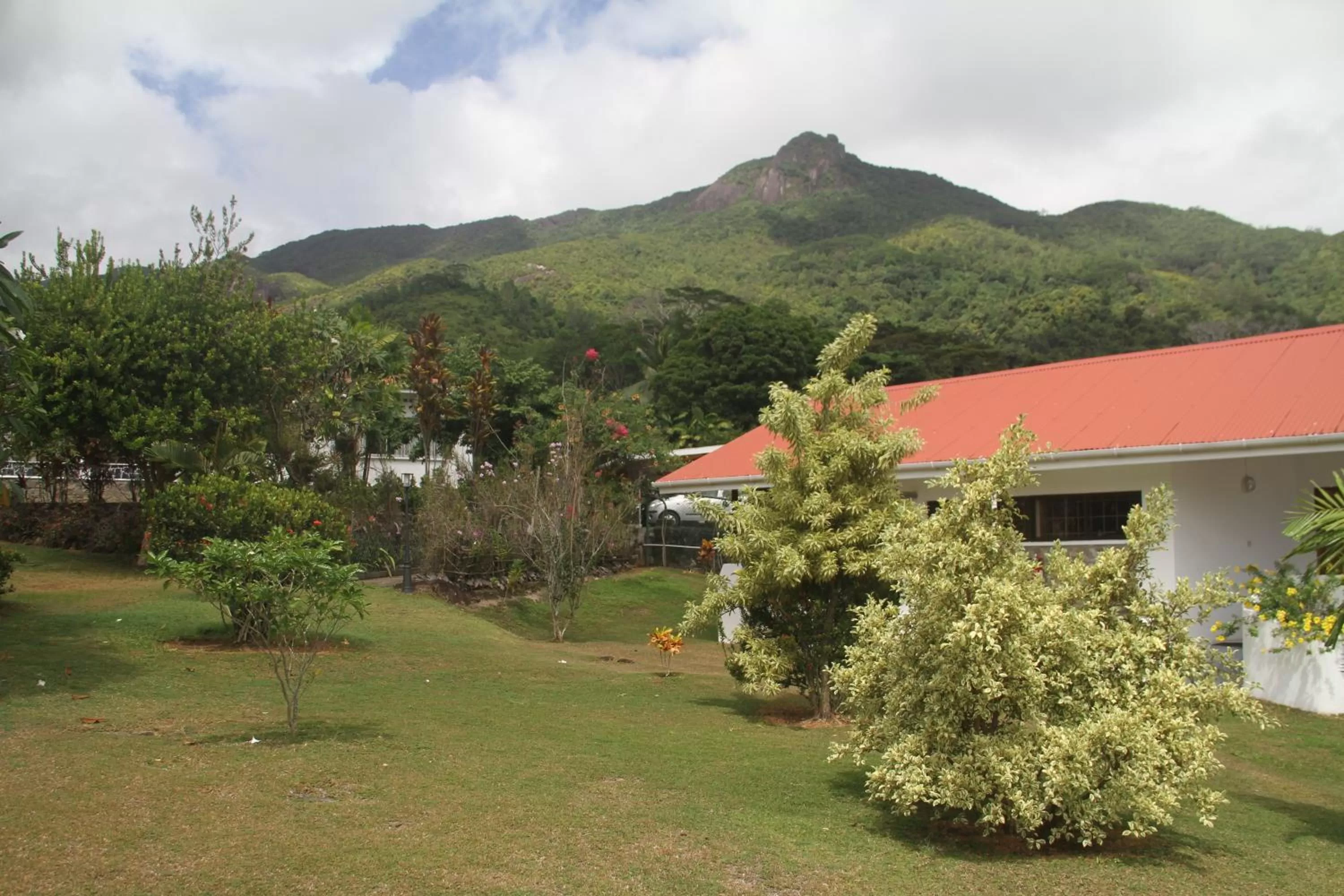 Garden in Daniella's Bungalows