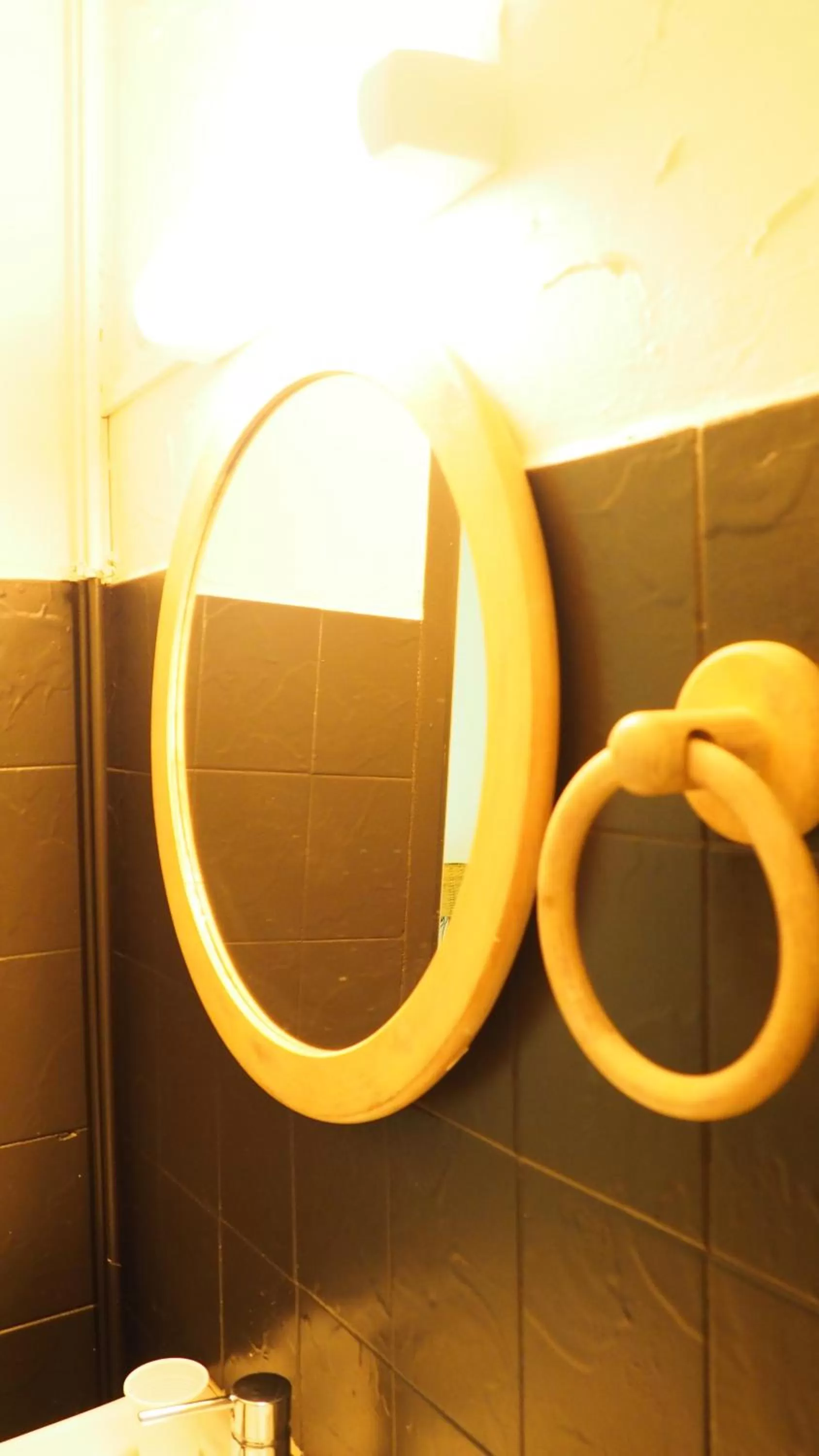 La Garenne de Morestel