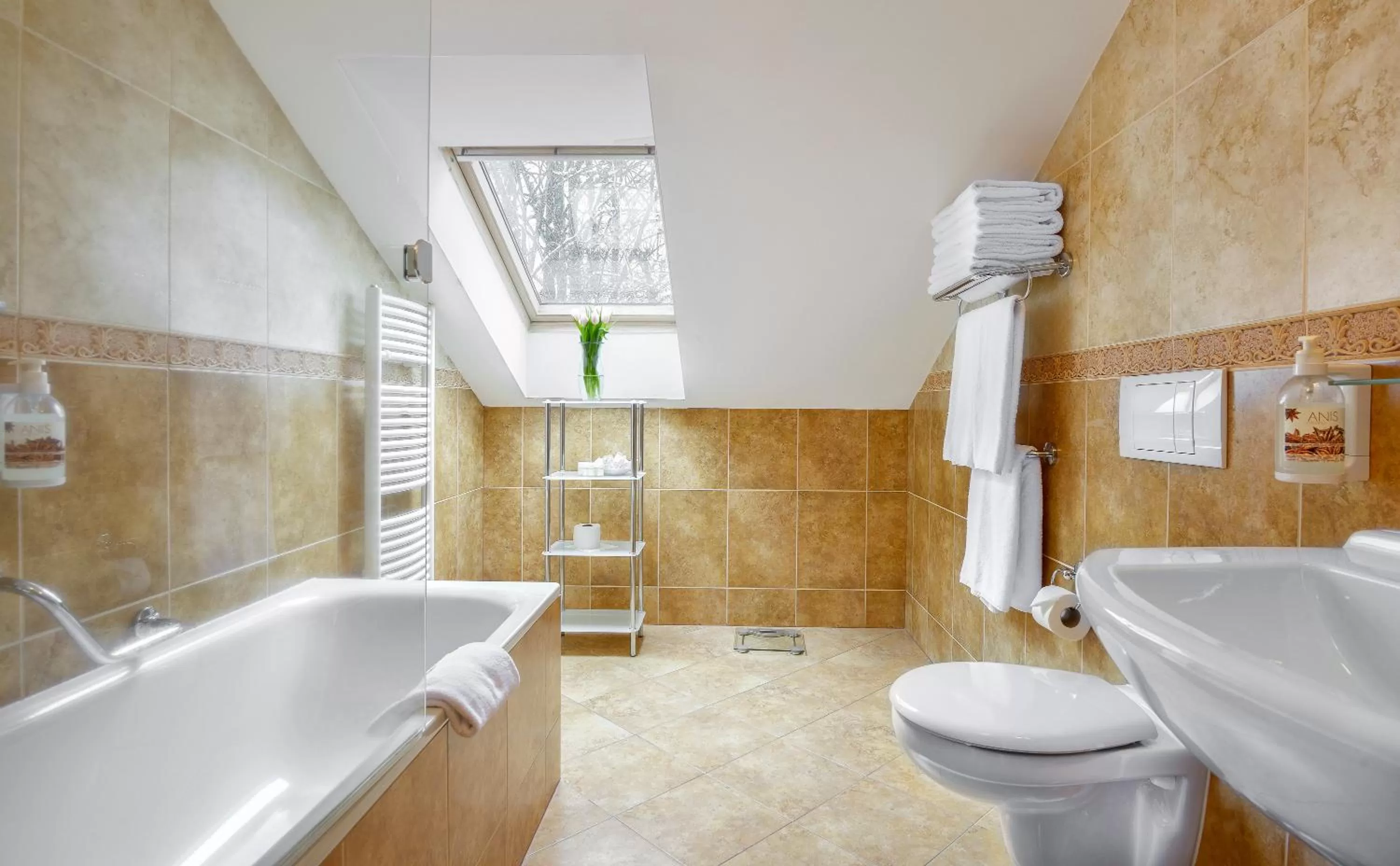 Bathroom in Hotel Continental