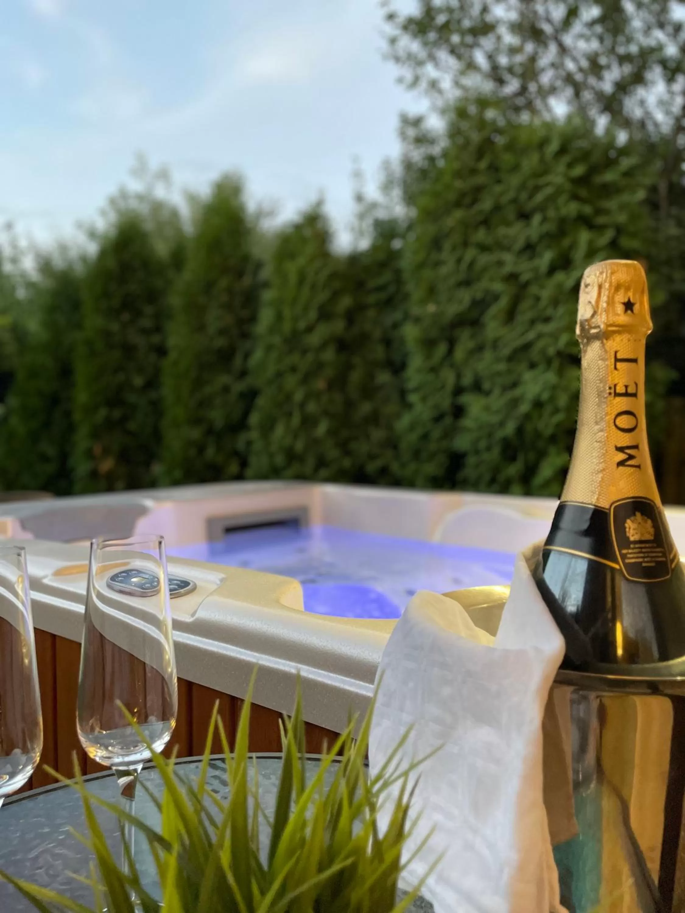 Swimming Pool in Villa Aruba & Private SPA Suites