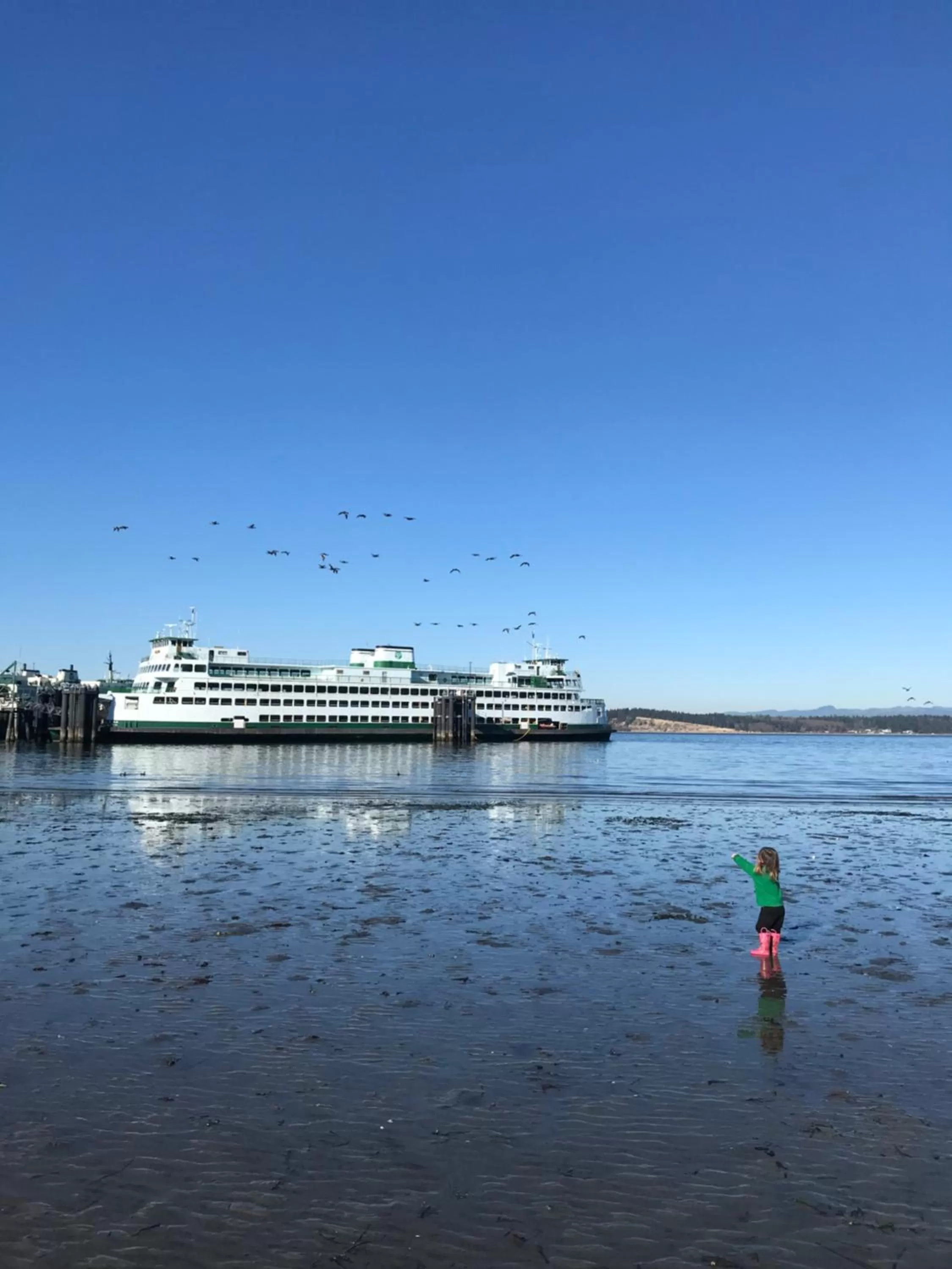 Natural landscape in The Edenwild Boutique Inn