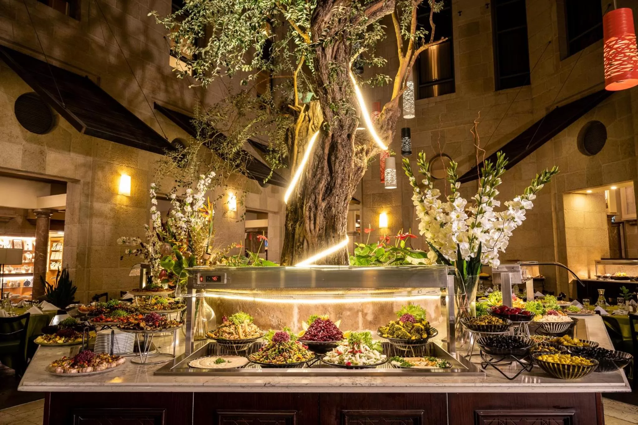 Dinner in Olive Tree Hotel