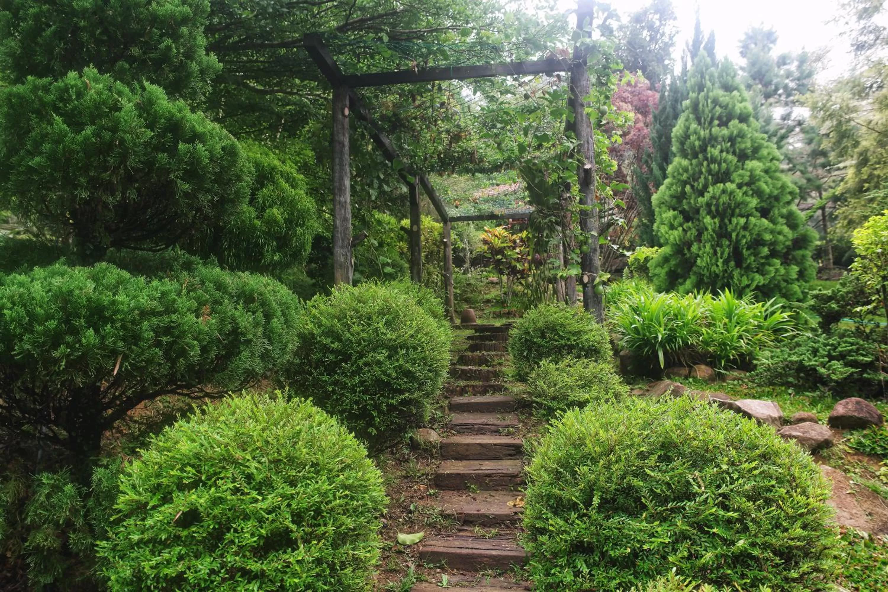 Other in Harmony Valley Retreat