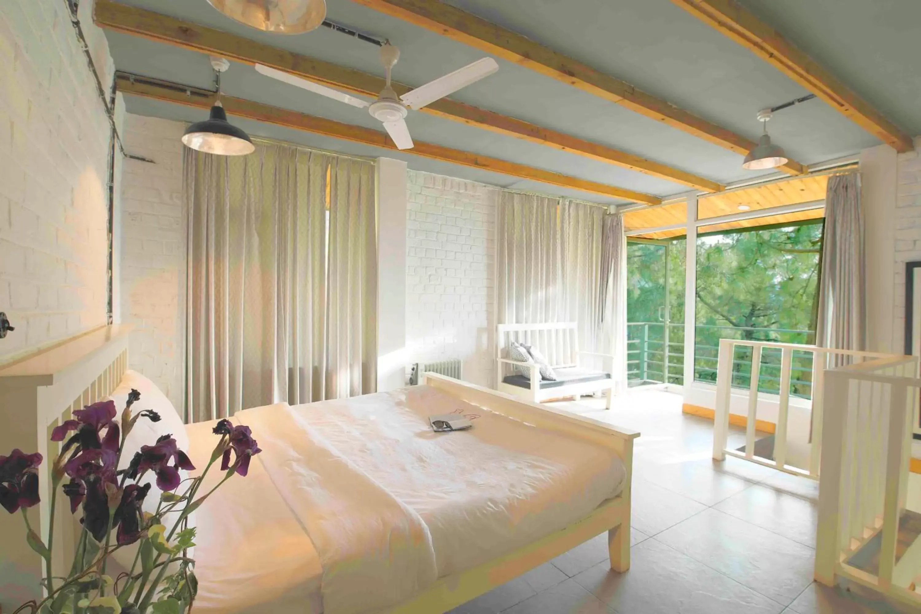 Rocky Mountain High in Seclude Kasauli, Himachal Pradesh Rocky Mountain High in Seclude Kasauli, Himachal Pradesh