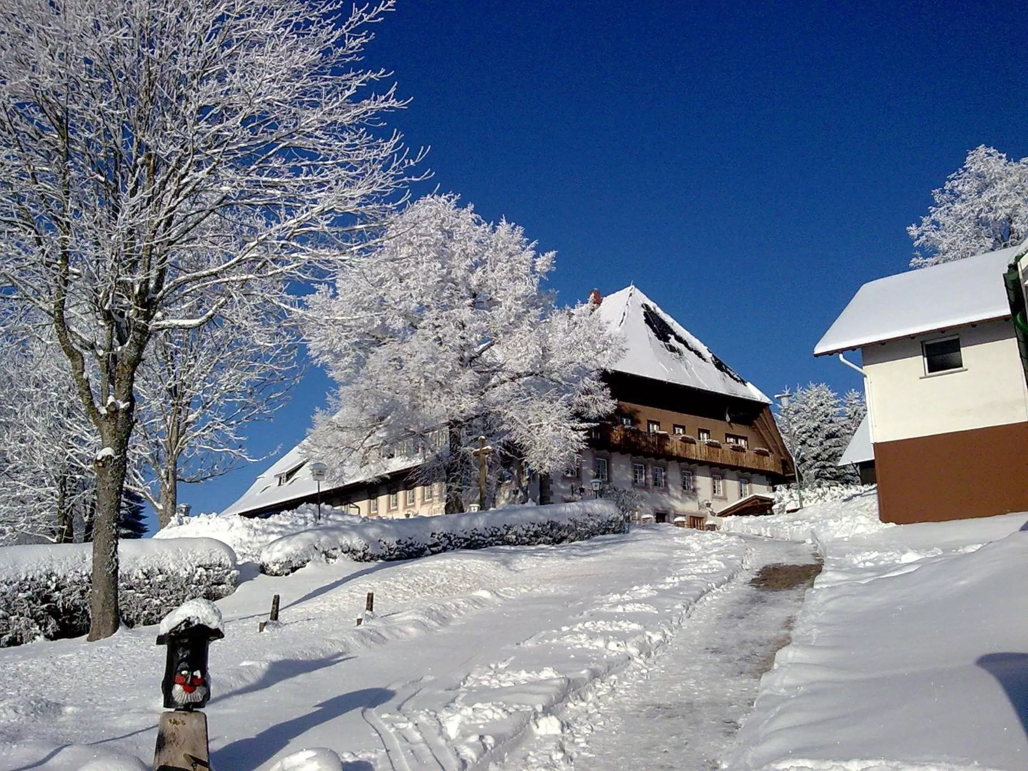 Property building in ZUR TRAUBE Schwarzwaldhotel & Restaurant am Titisee
