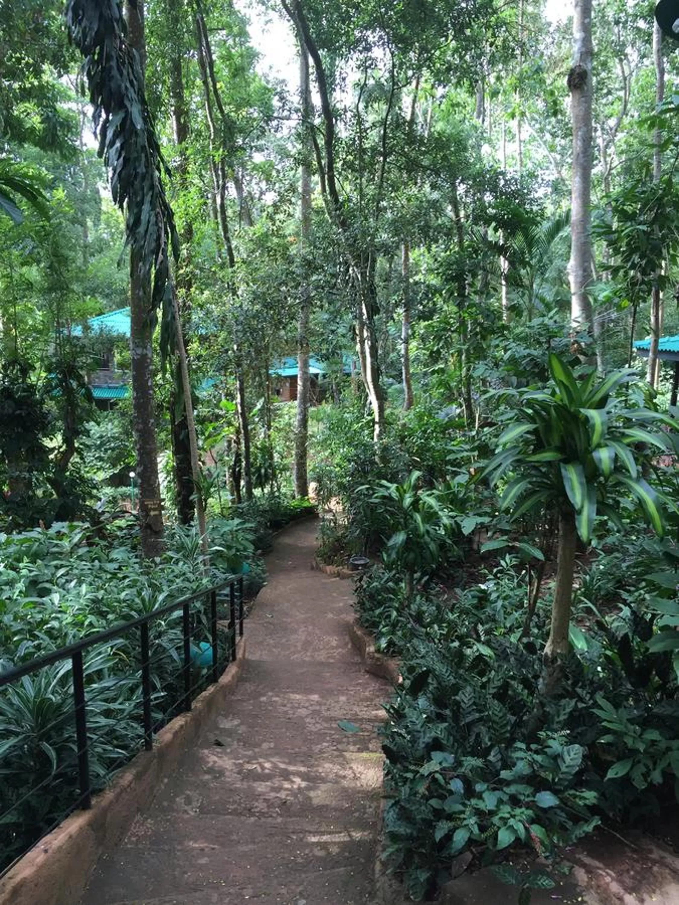 Property building in Le leopard d 'argent