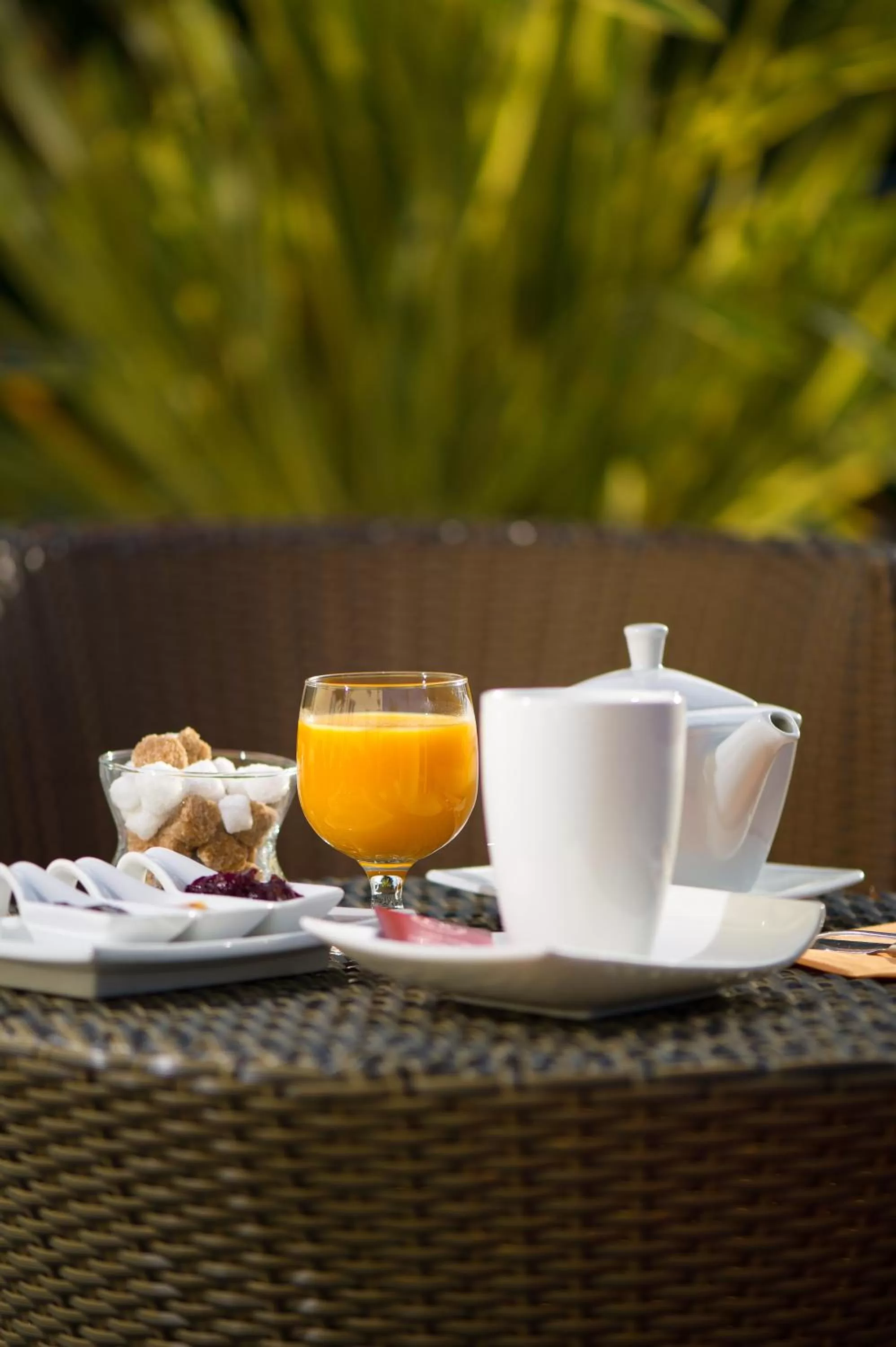 Drinks in Best Western Le Vinci Loire Valley