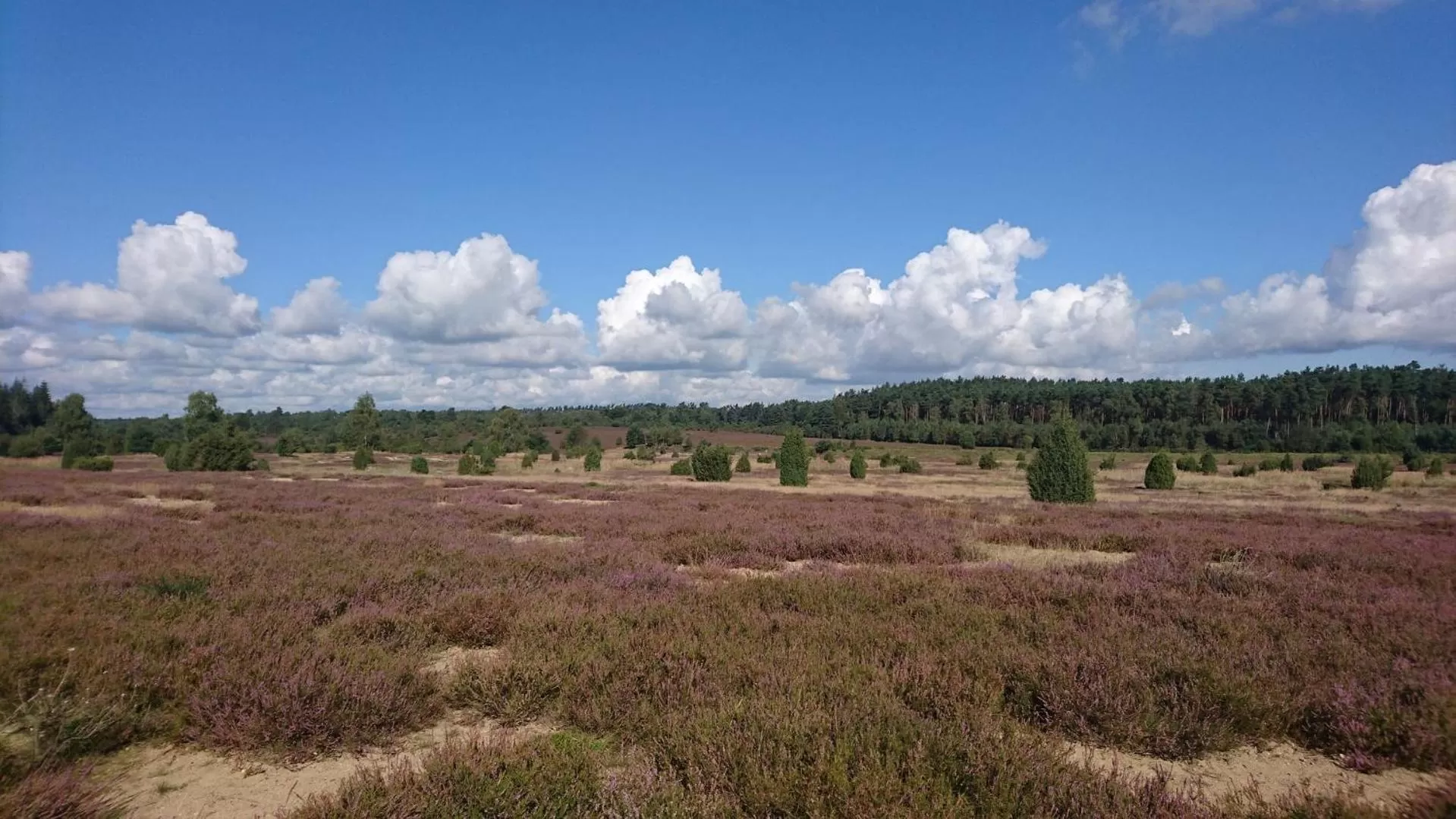 Natural landscape in Hotel Heidpark