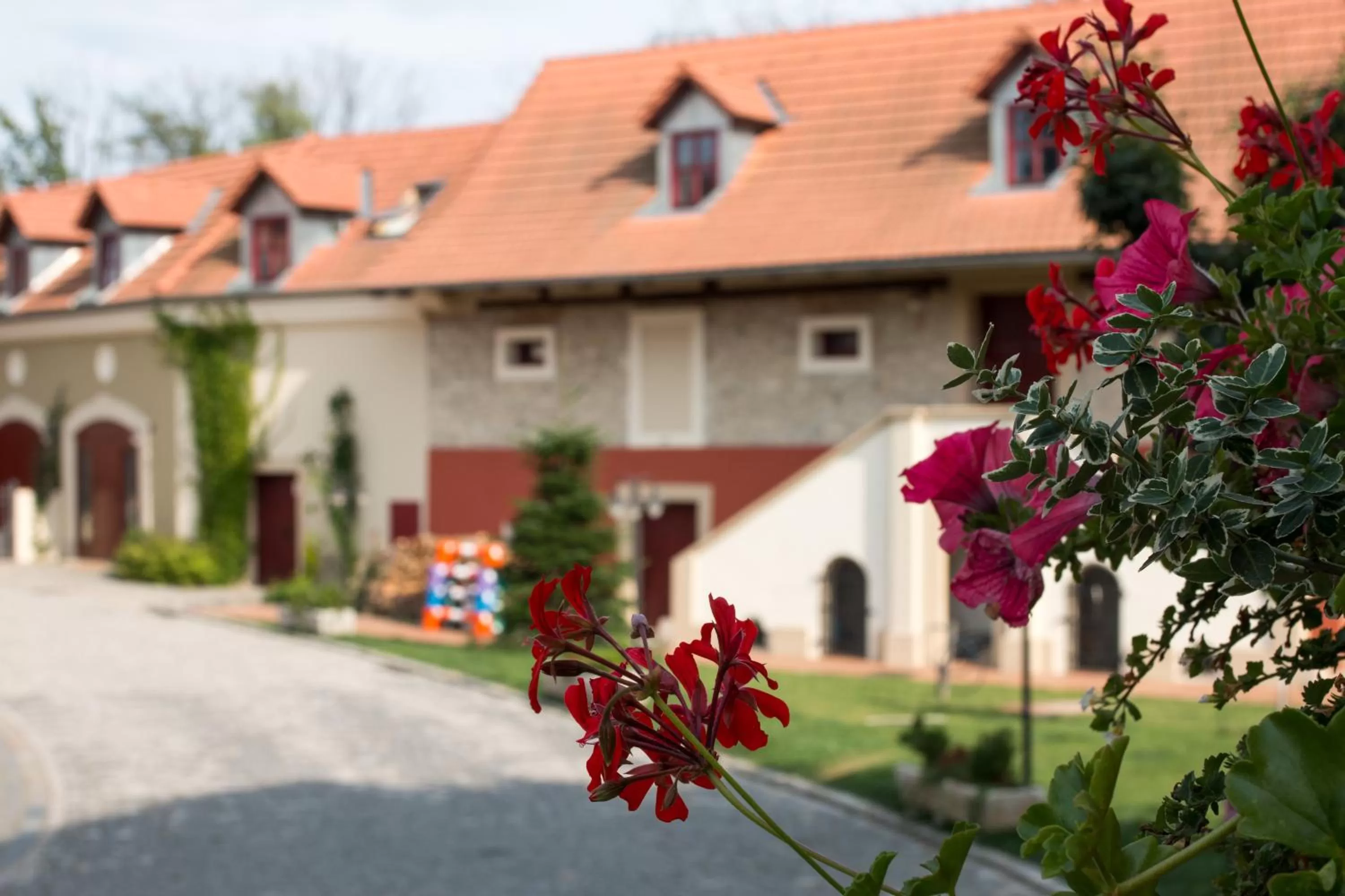 Facade/entrance in Hotel Dvur Hoffmeister