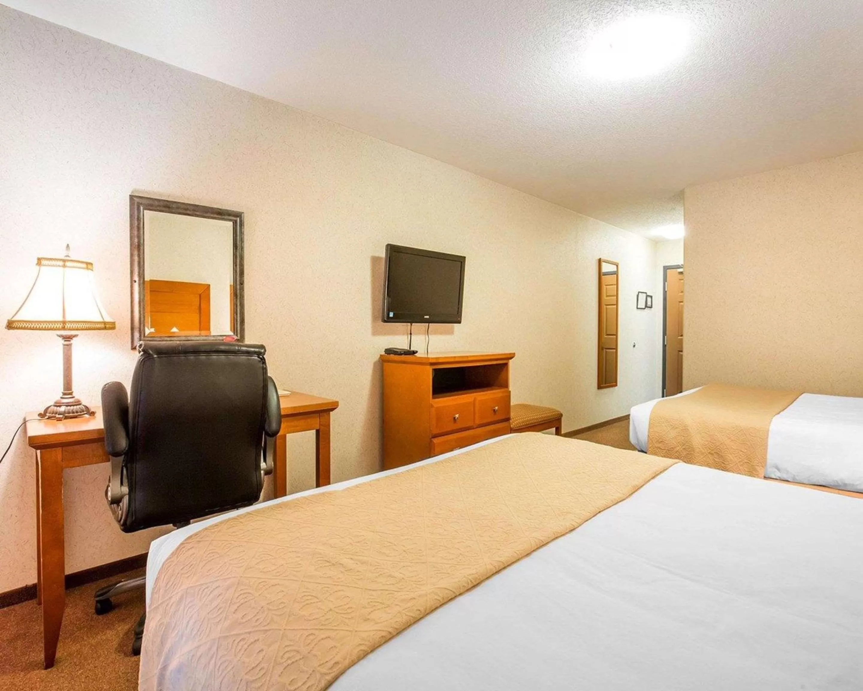 Photo of the whole room, Bed in Quality Inn & Suites