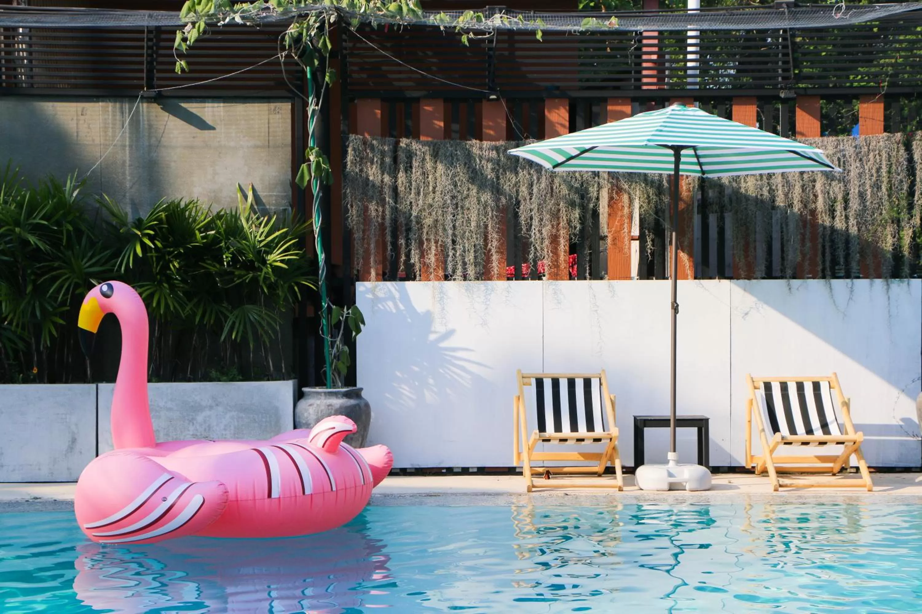 Swimming pool in My Way Hua Hin Music Hotel SHA Extra Plus