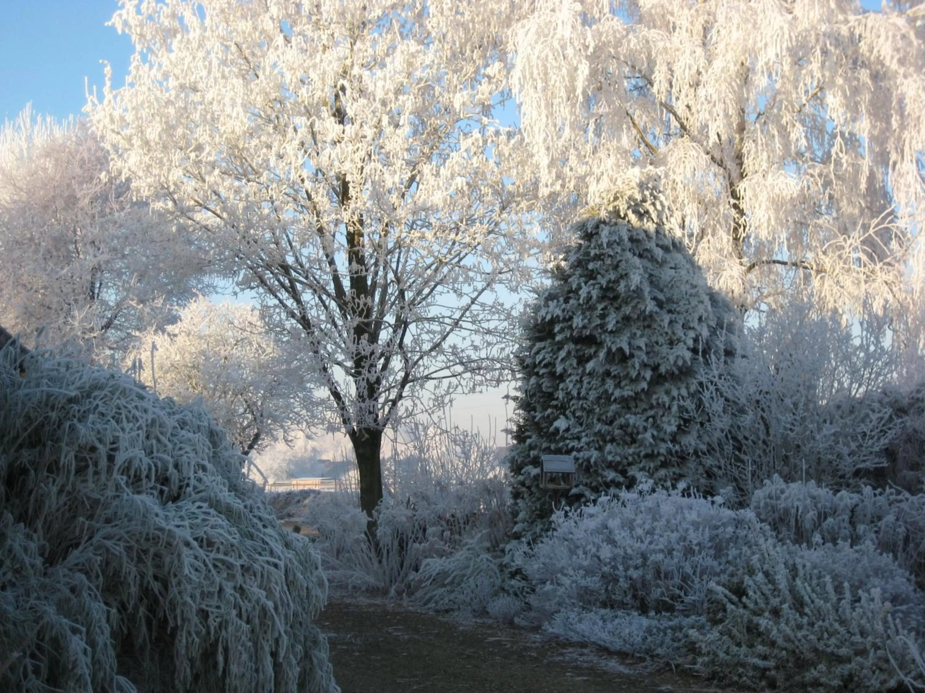 Other in B&B Het Uilennest