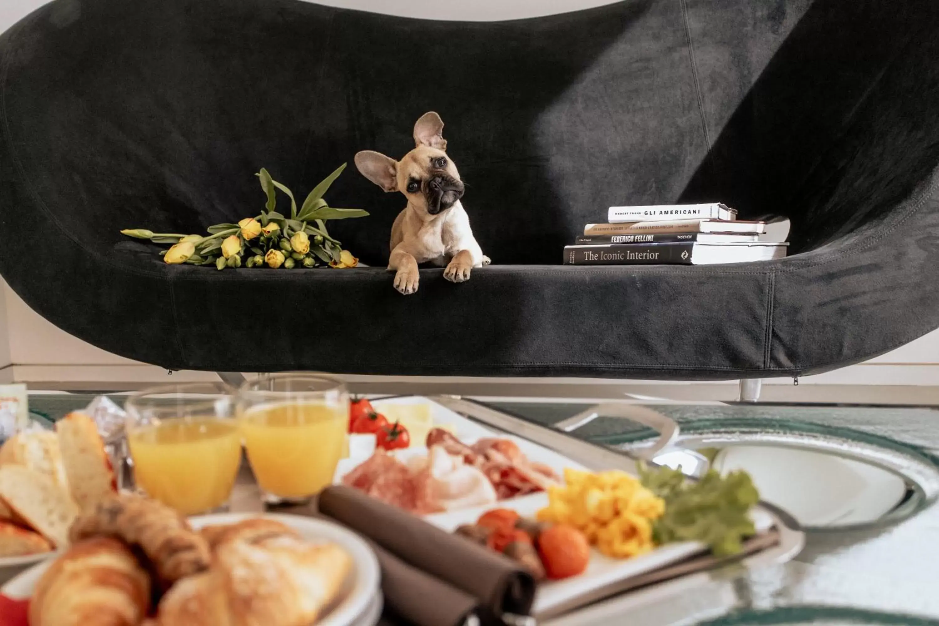 DuoMo Hotel DuoMo Hotel