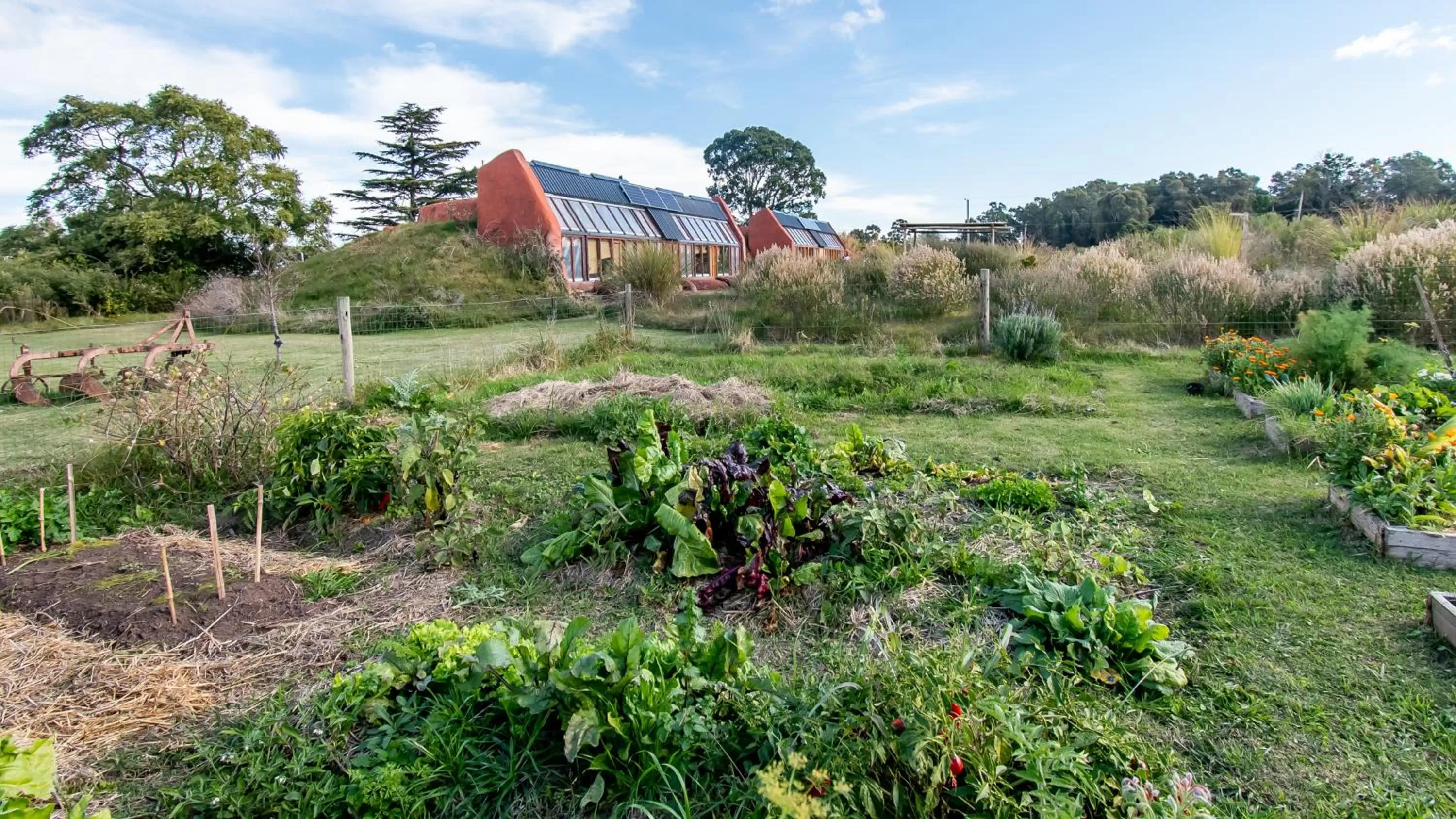 Garden in Caliu Earthship Ecolodge