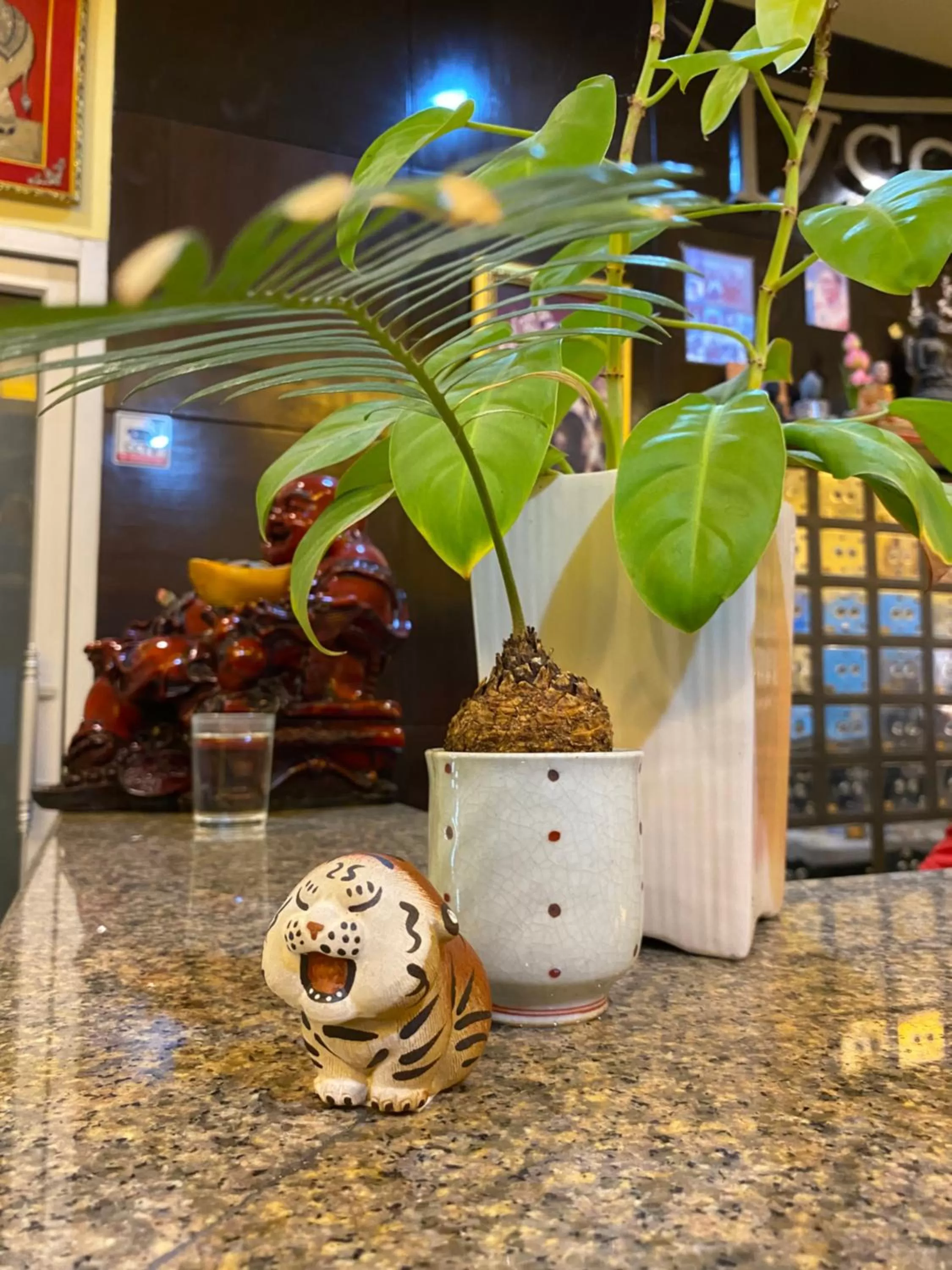 Communal lounge/ TV room in Tycoon place garden