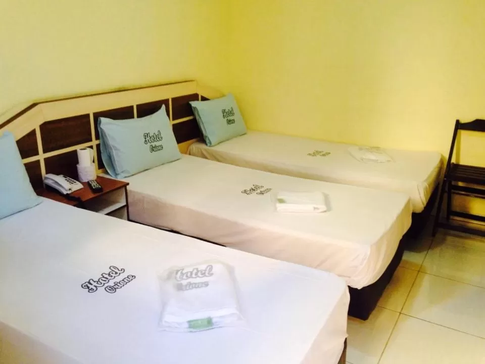 Bed in Hotel Praça Orione