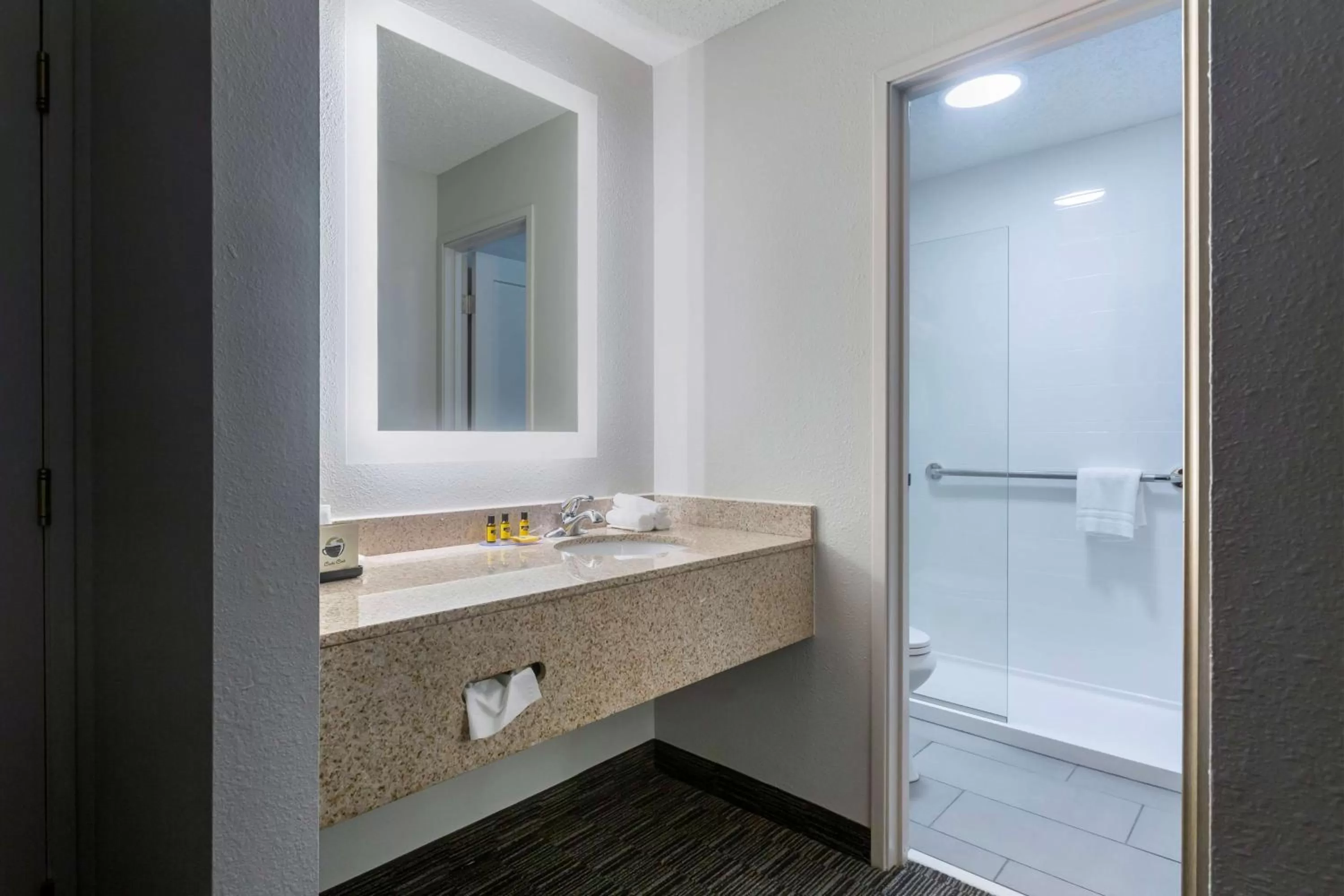 Bathroom in Best Western Plus Como Park Hotel