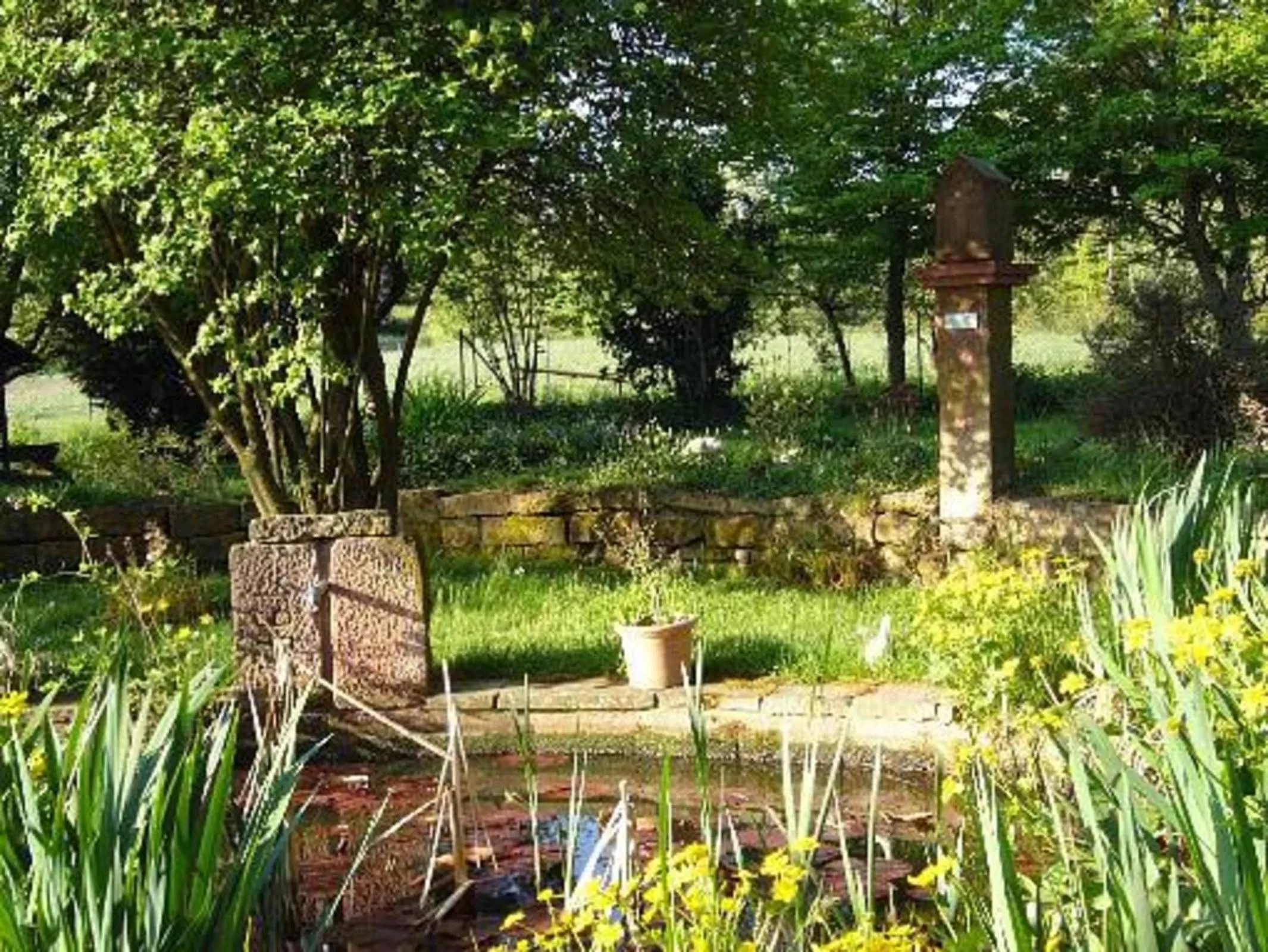 Garden view in Gasthaus-Pension Zum Brandweiher