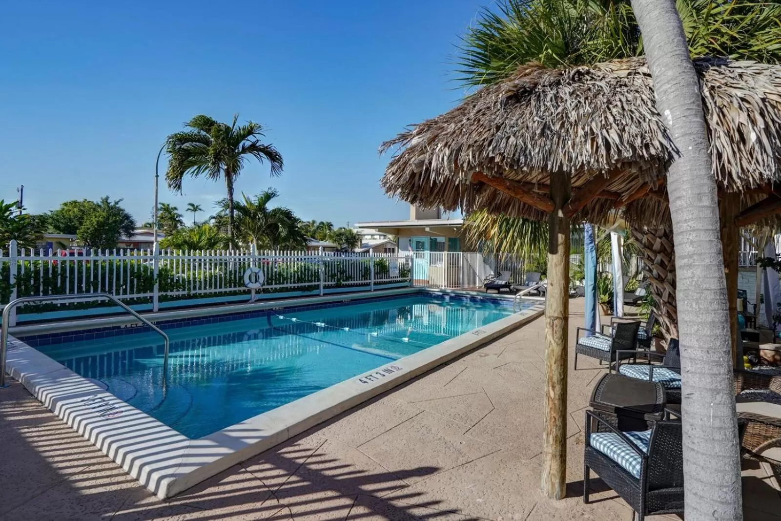 Swimming Pool in Blue Strawberry by the Sea