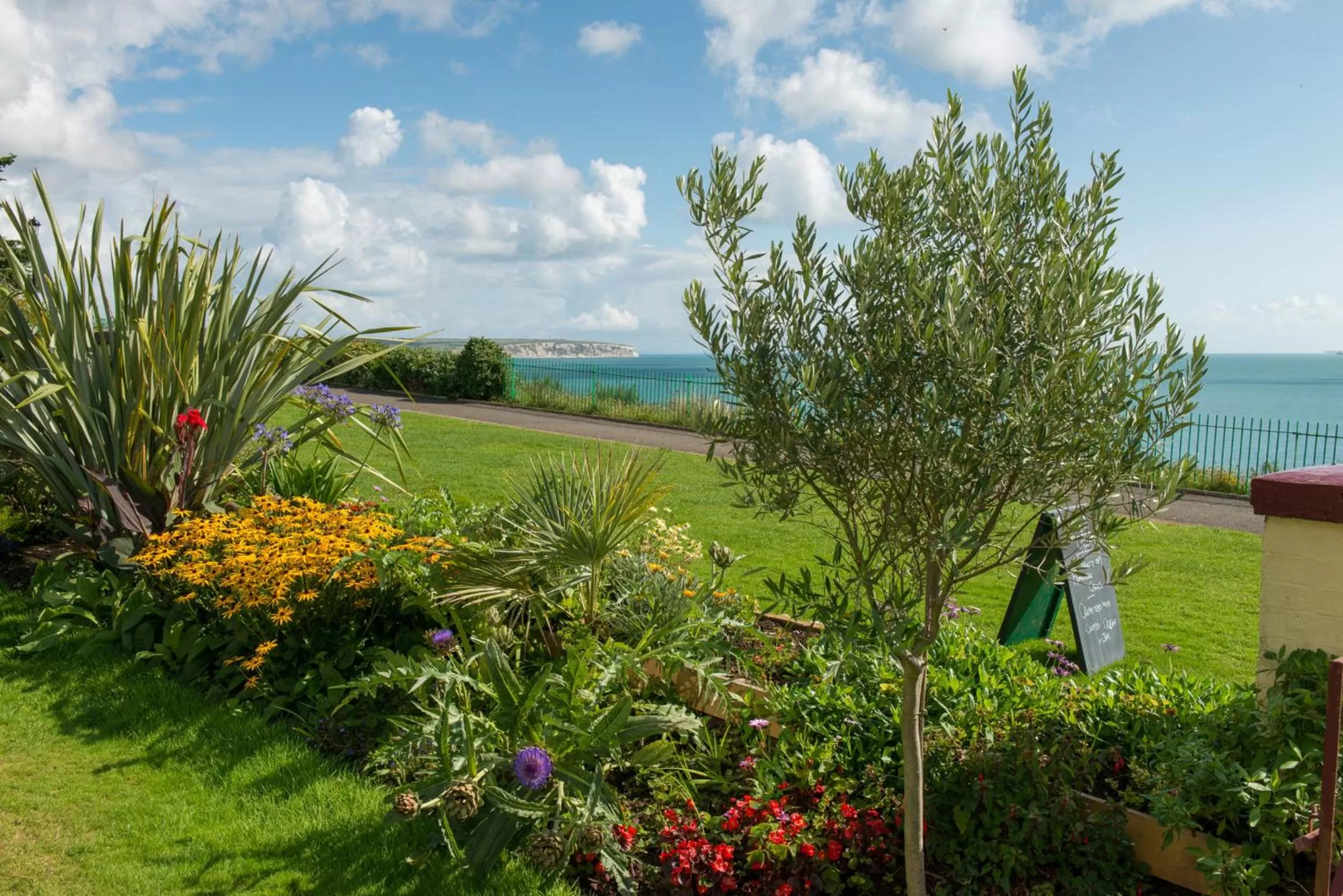 Garden in The Clifton