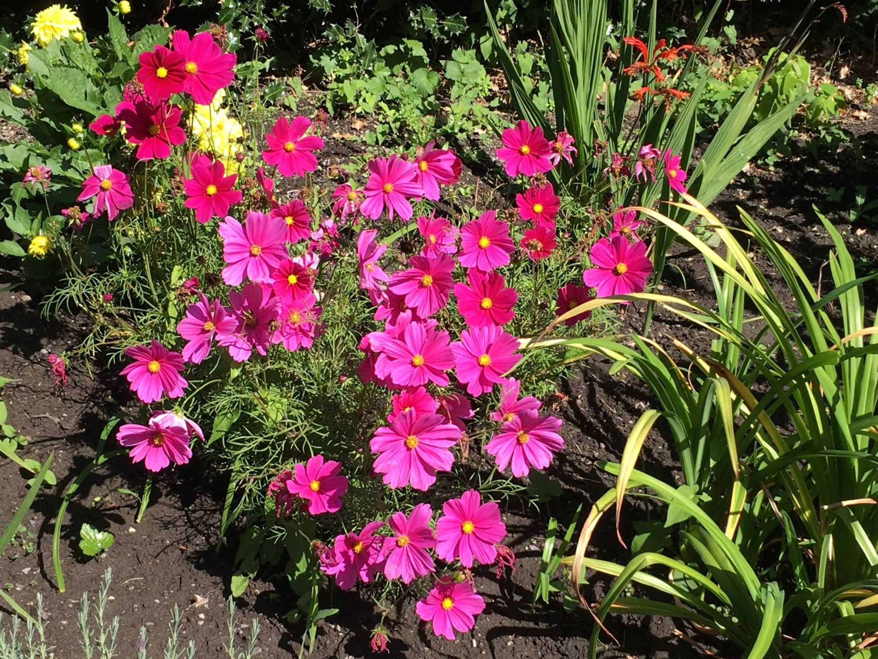 Garden in Prior Castle Inn