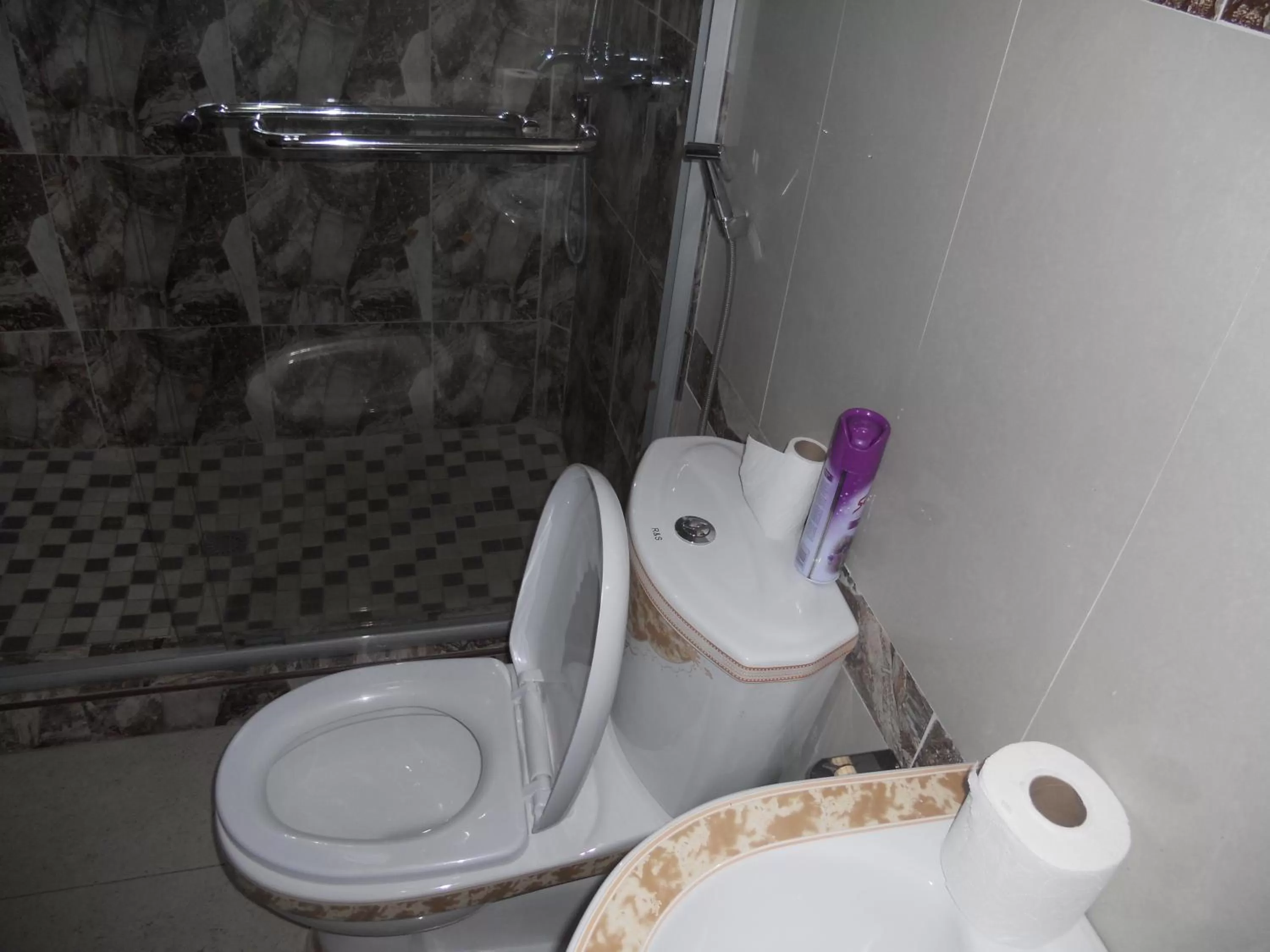 Toilet in Gold Crown International Hotel Johannesburg