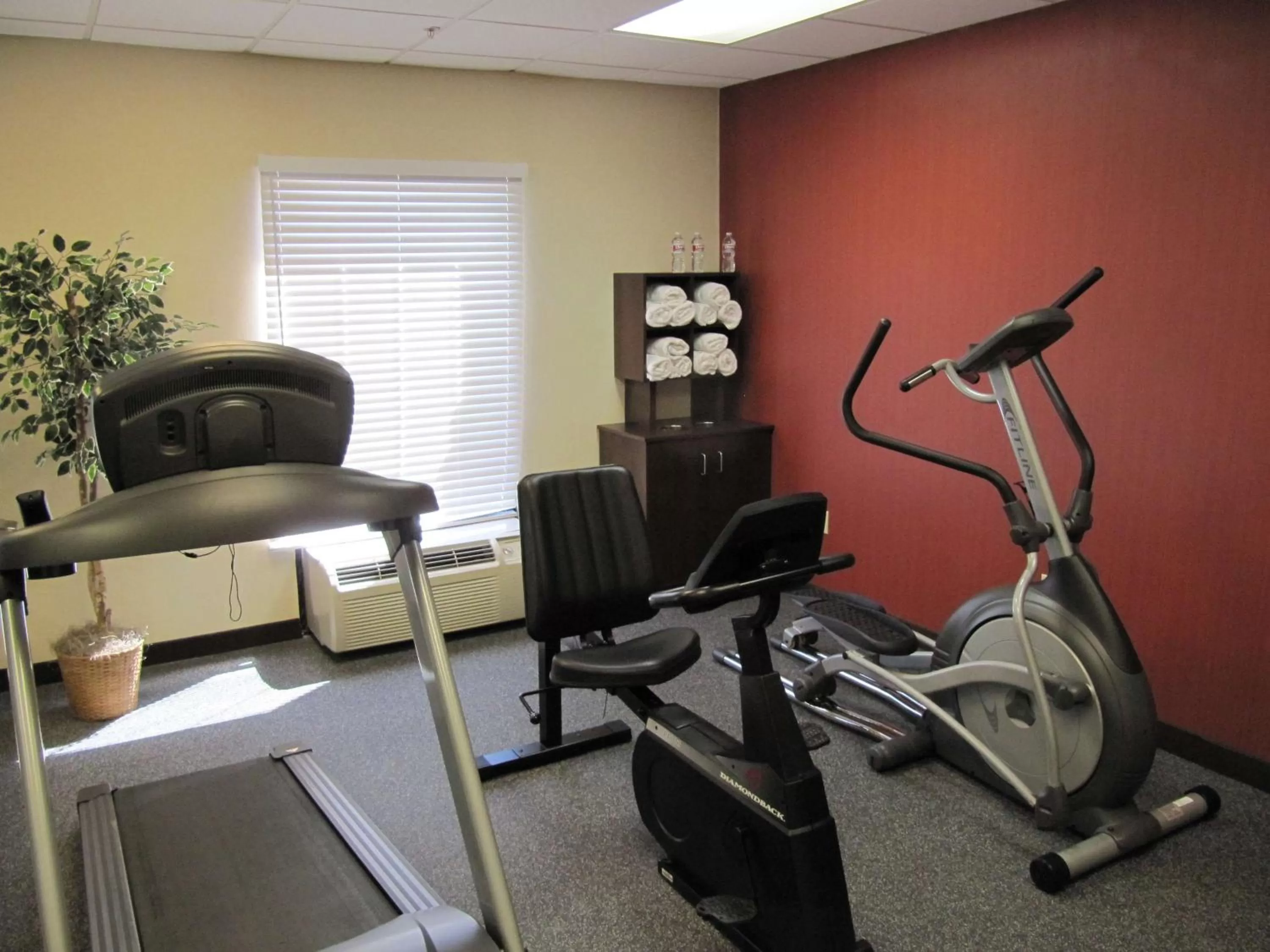 Fitness centre/facilities in Hampton Inn Lindale/Tyler