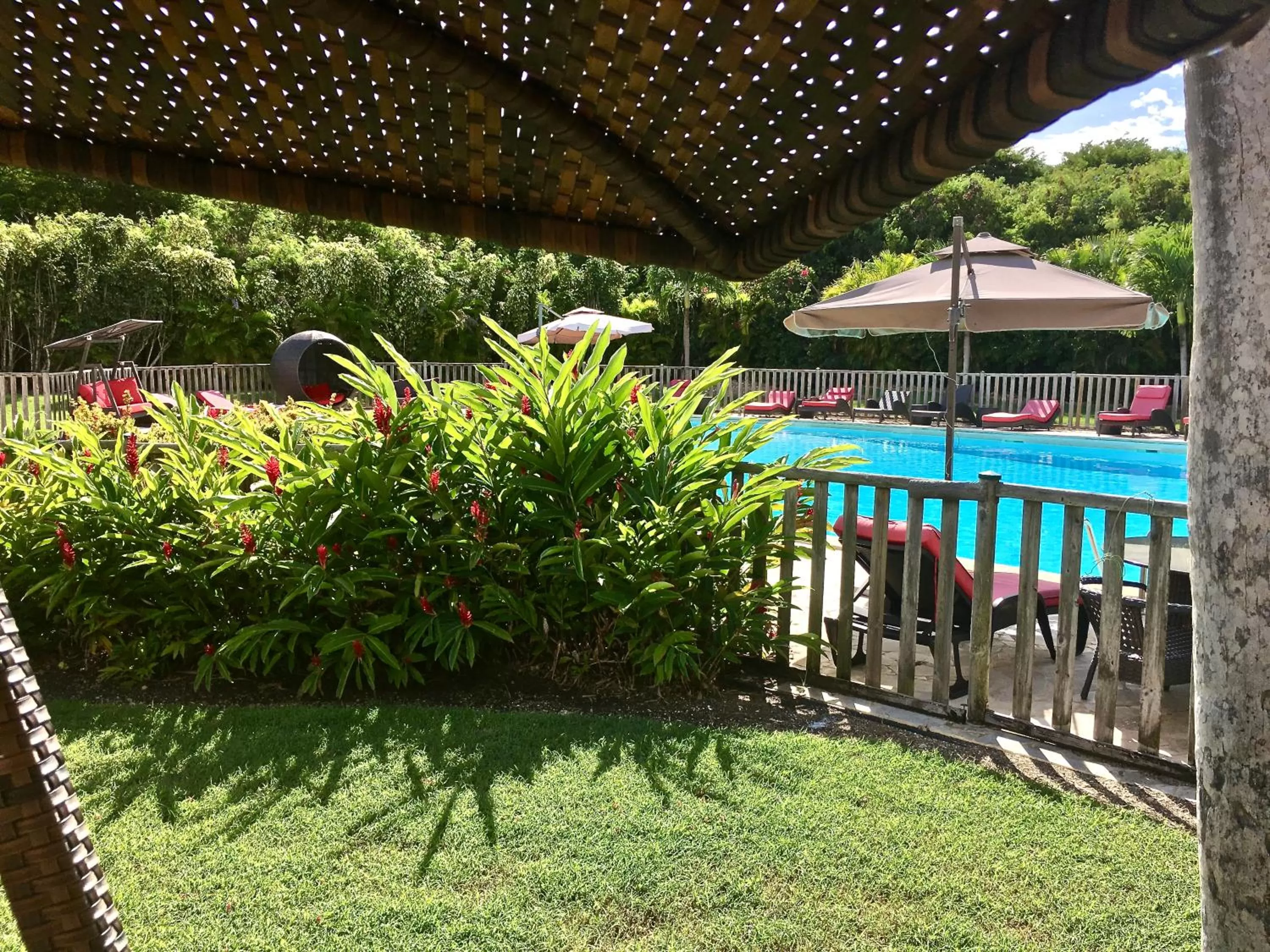 Garden in Résidence Le Vallon Guadeloupe Parc Piscine Appartements & Studios