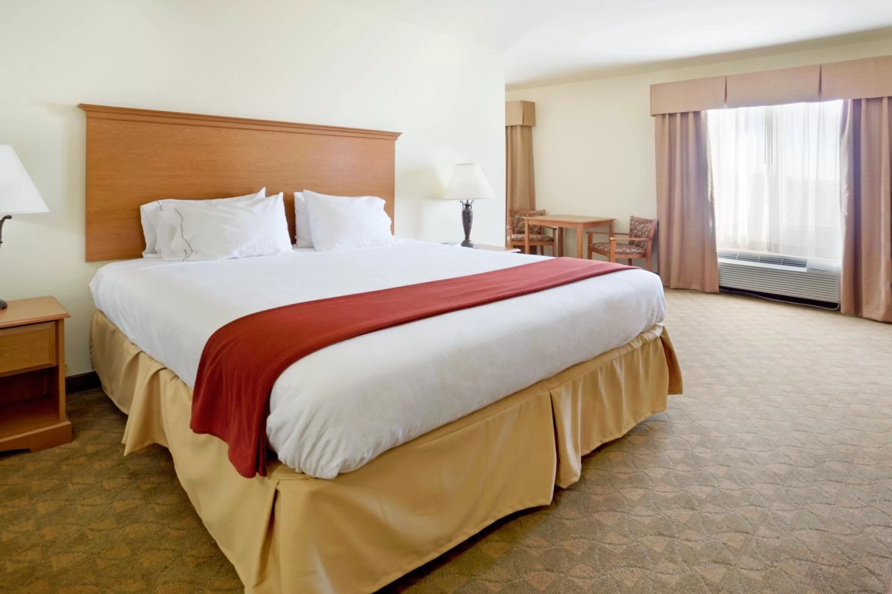Photo of the whole room, Bed in Holiday Inn Express Hotel & Suites Zapata by IHG