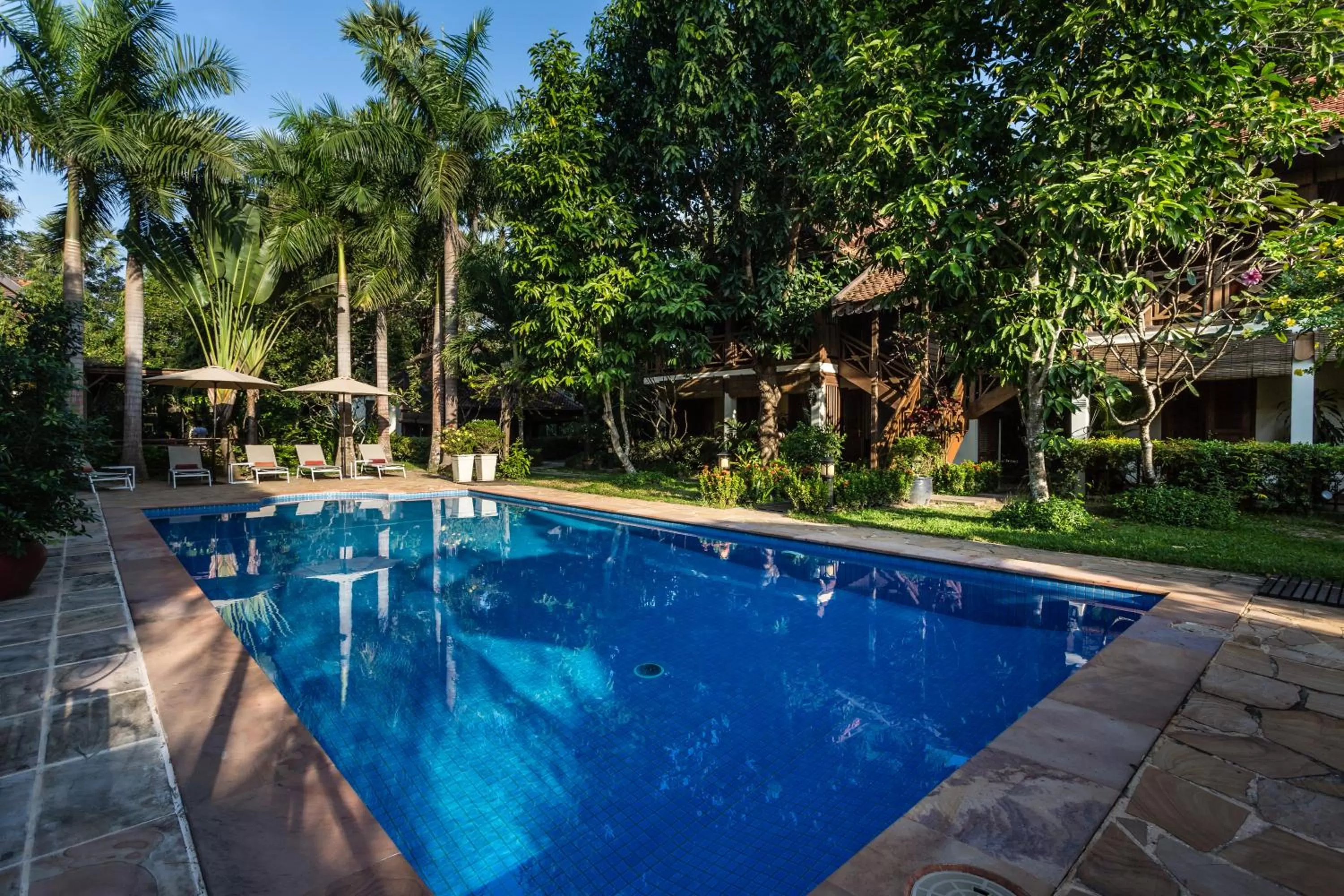Swimming pool in La Palmeraie D'angkor