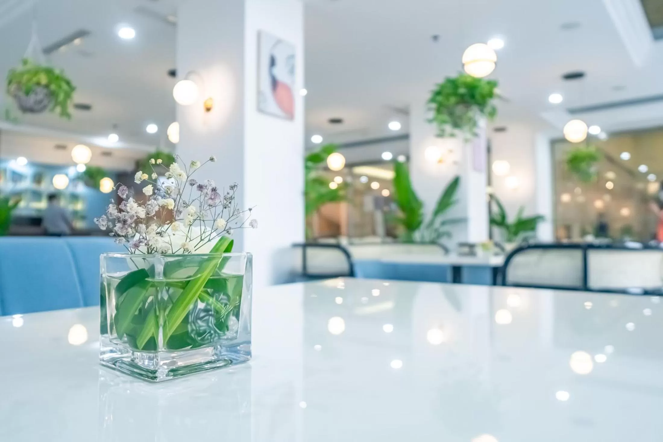 Restaurant/places to eat in Bao Son International Hotel