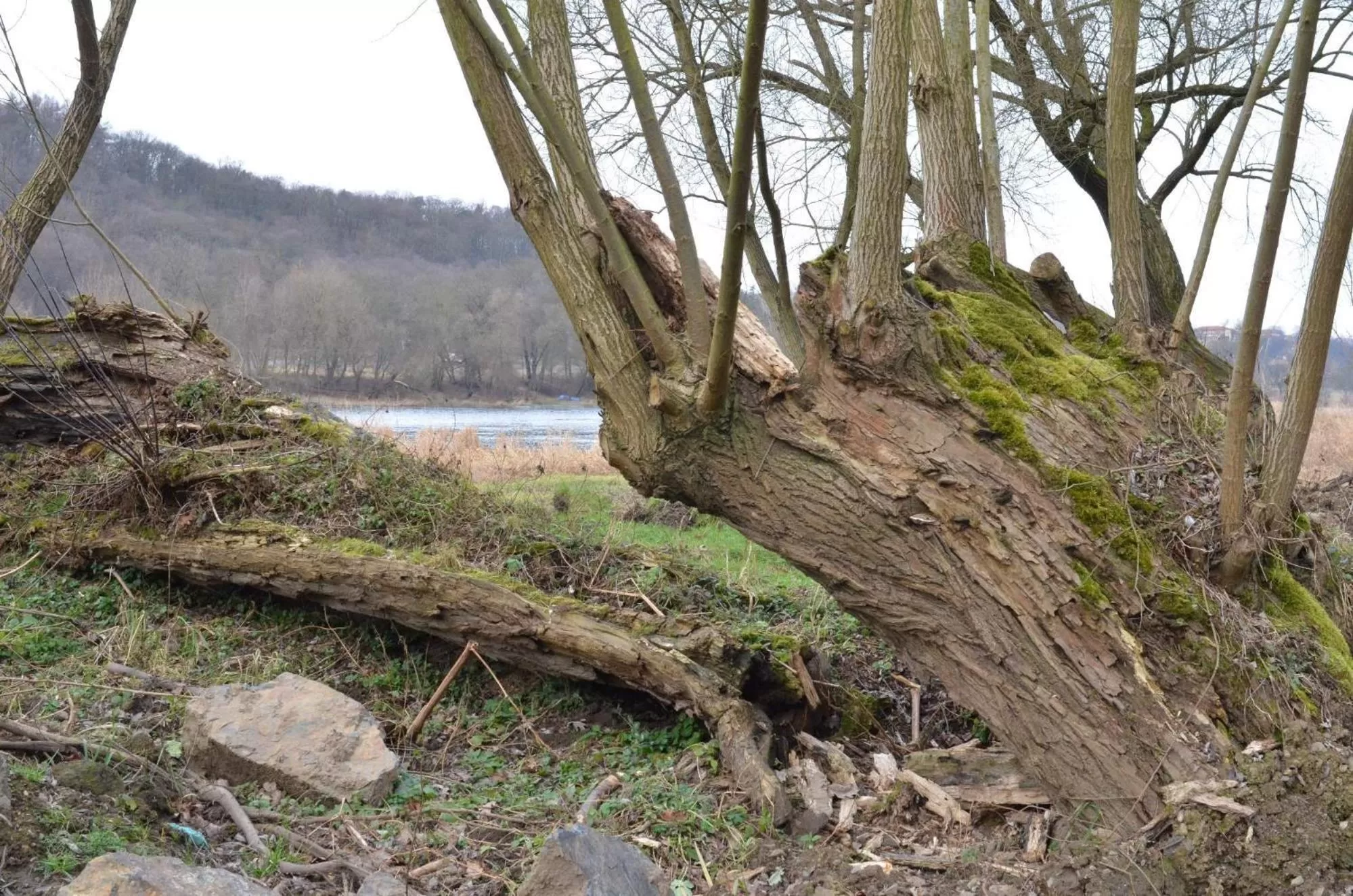 Hiking in Hotel Stará Pošta