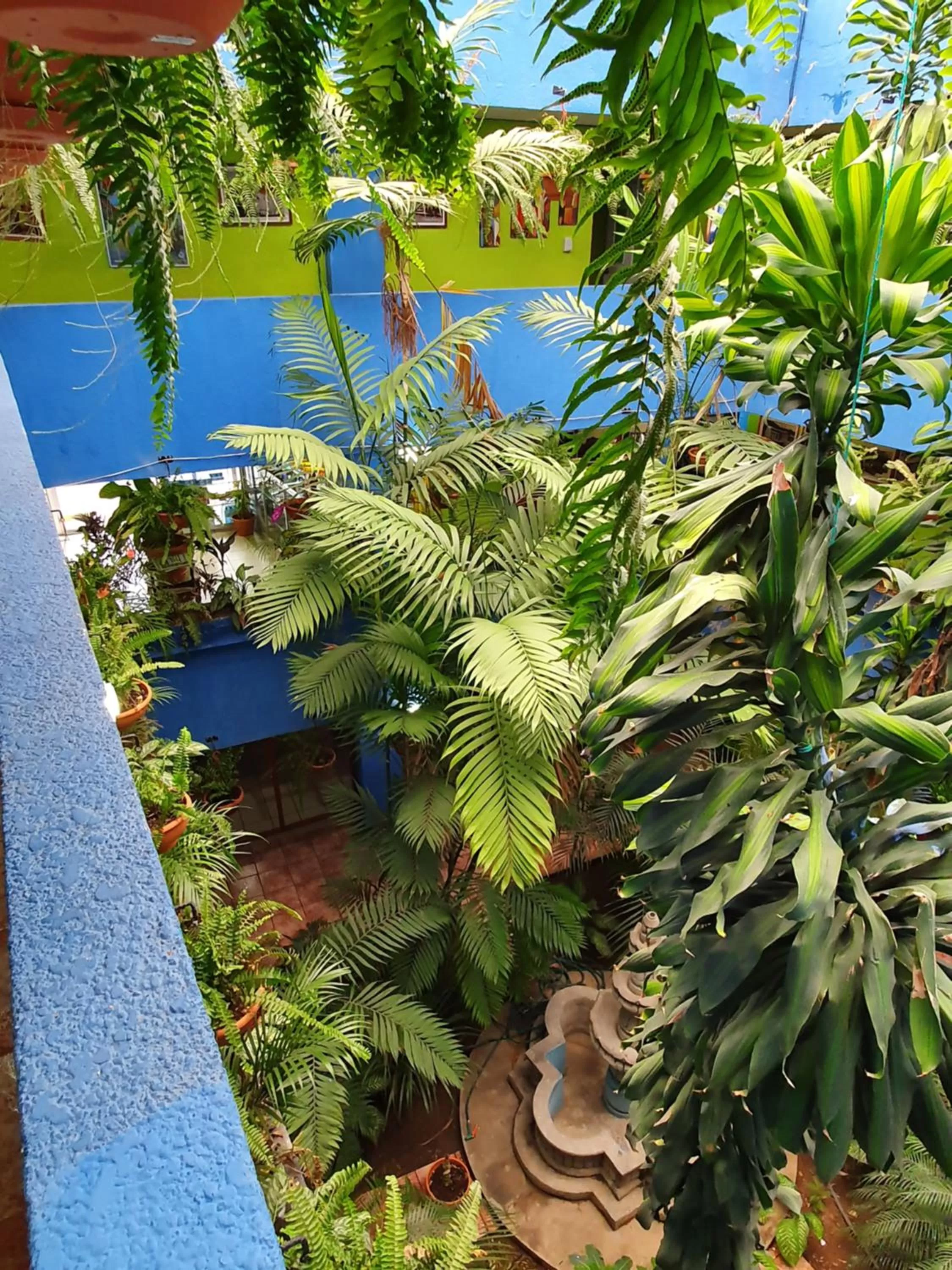 Pool View in hotel kasa kamelot 2