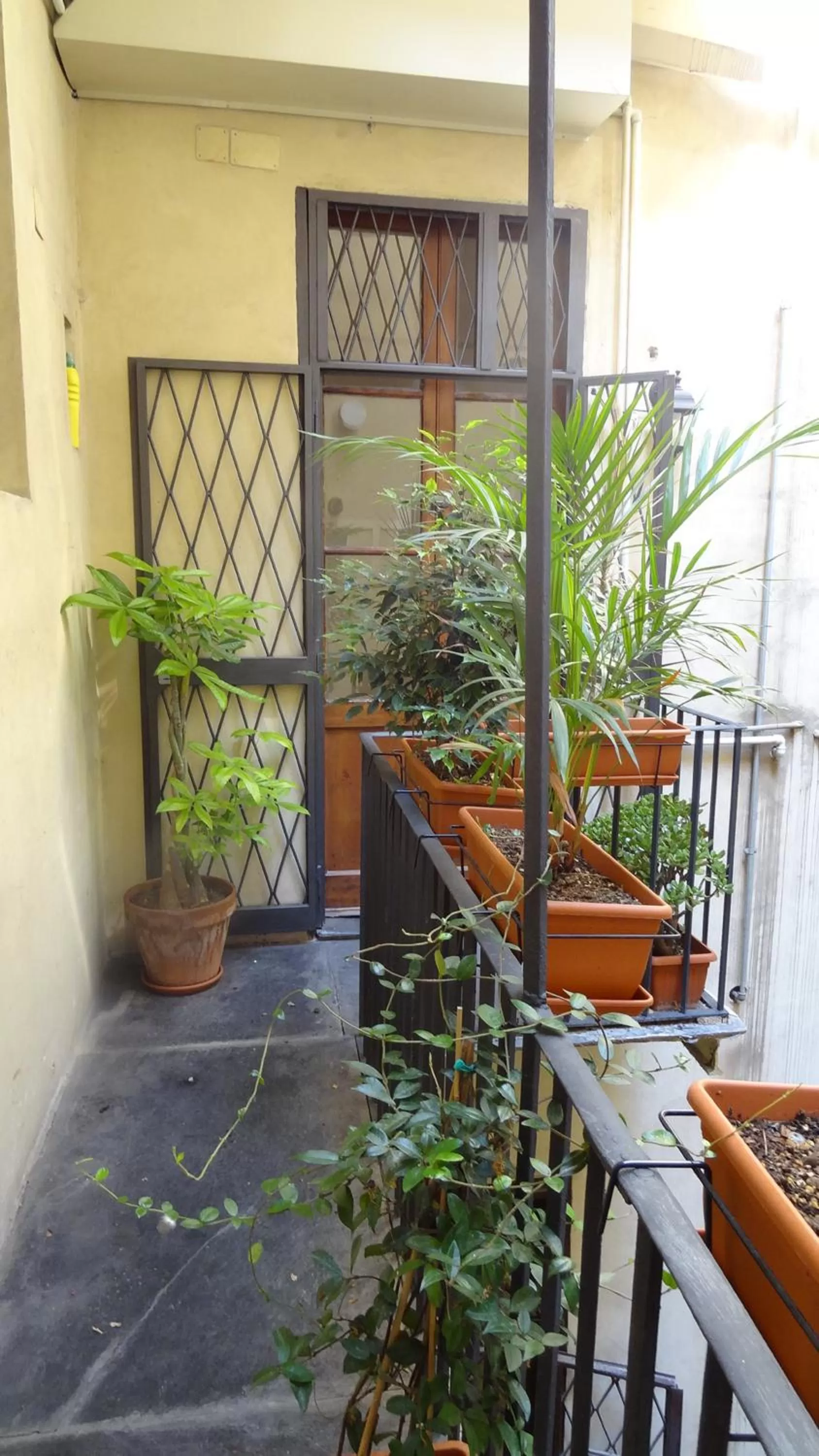 Garden view in La Maison Dell'Orologio