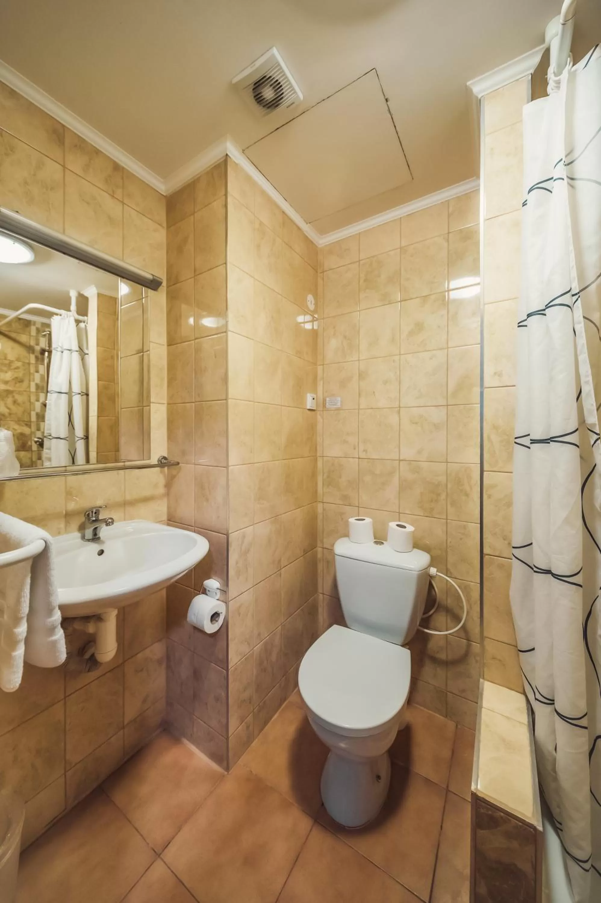 Bathroom in Hotel Czechia