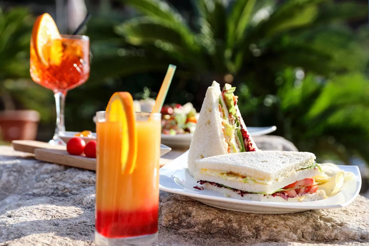 Food and drinks in Hotel Villa Sonia