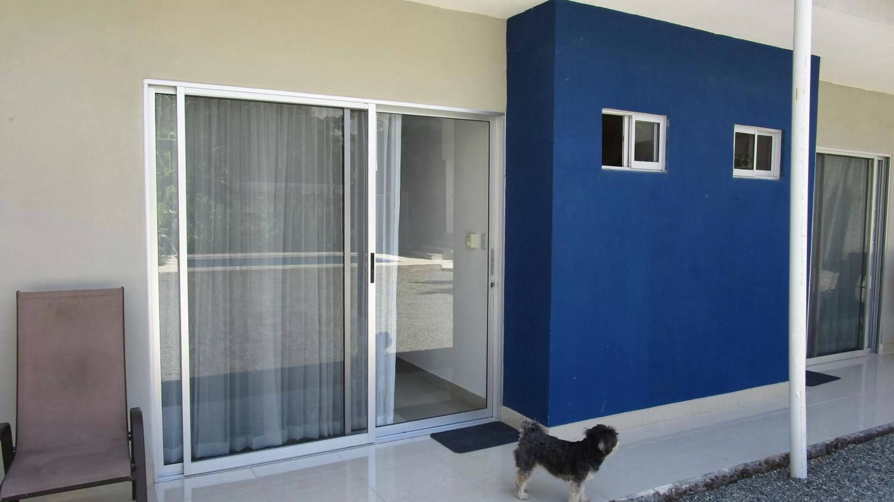 Pets in Sueño Tranquilo