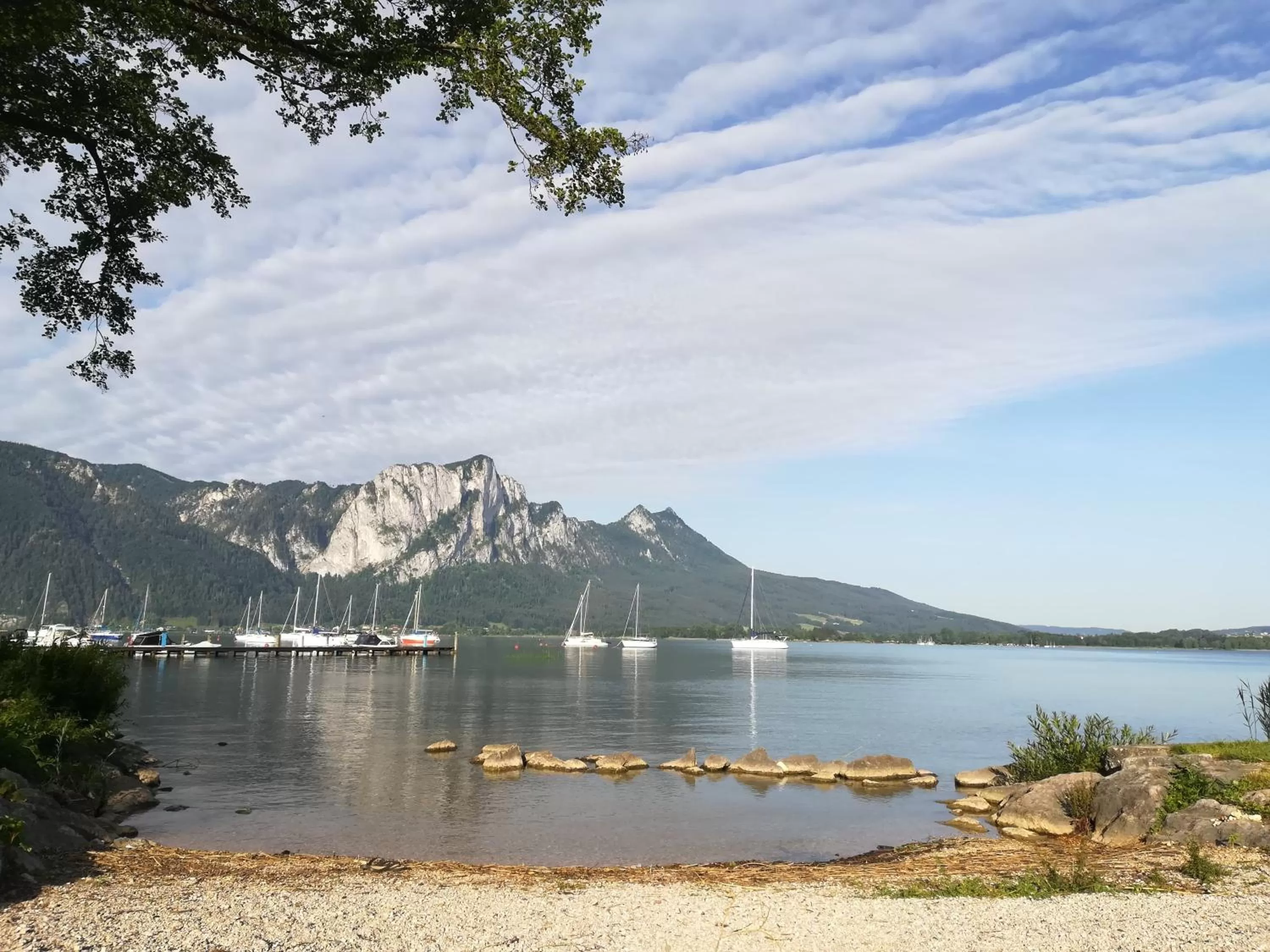 Natural landscape in Hotel Aichingerwirt